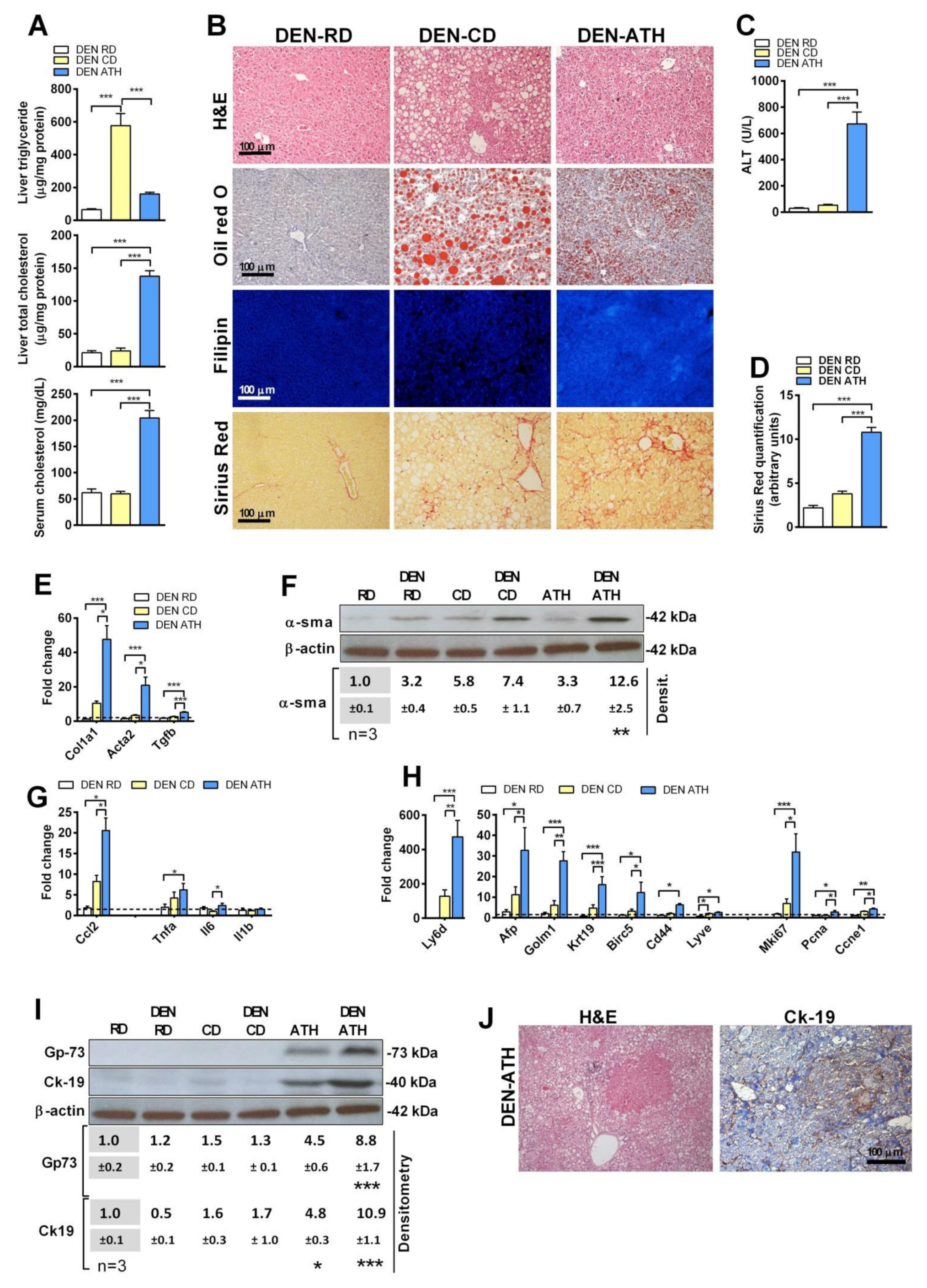 Cancers 13 04091 g002