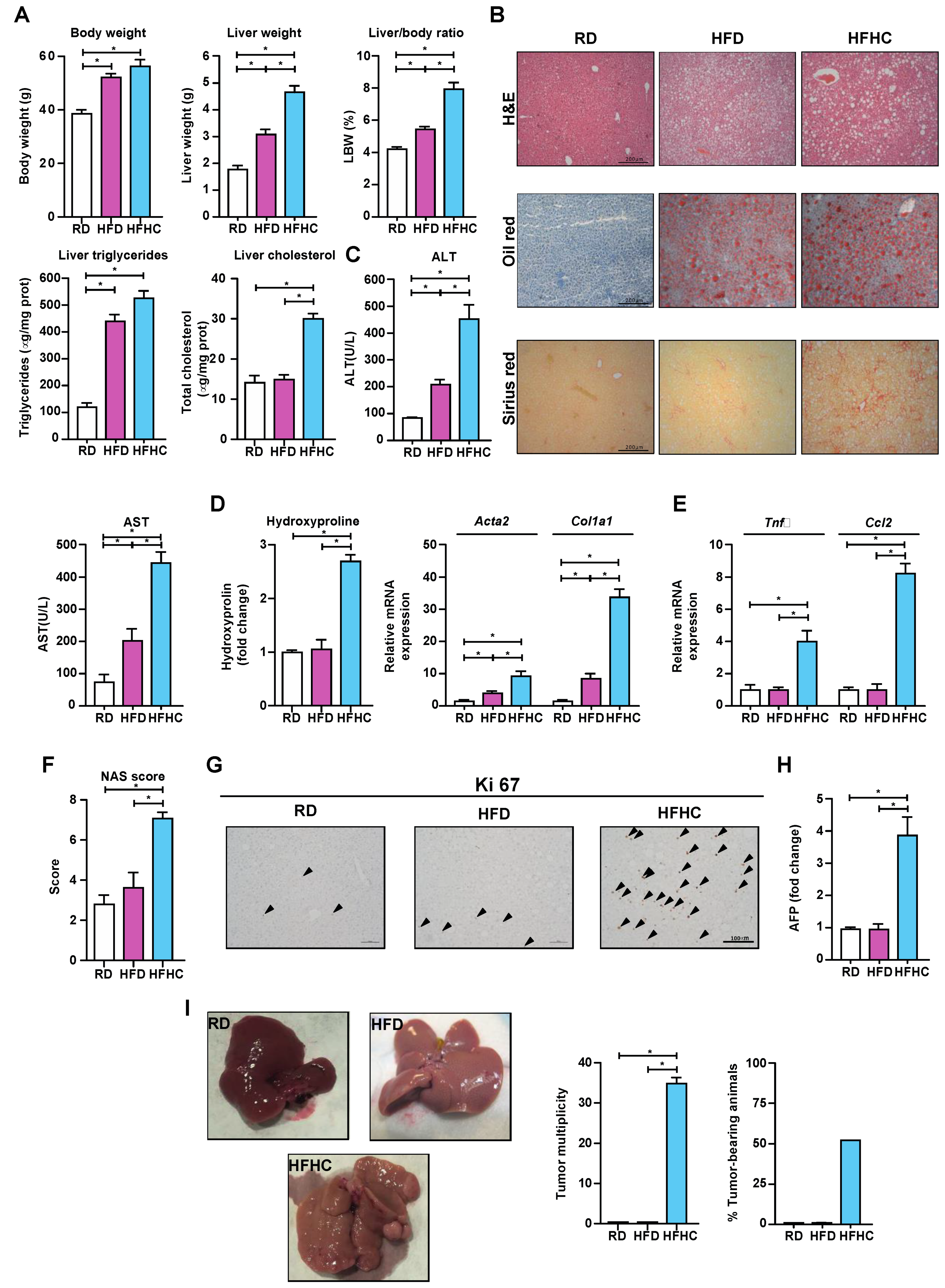 Cancers 13 04091 g004
