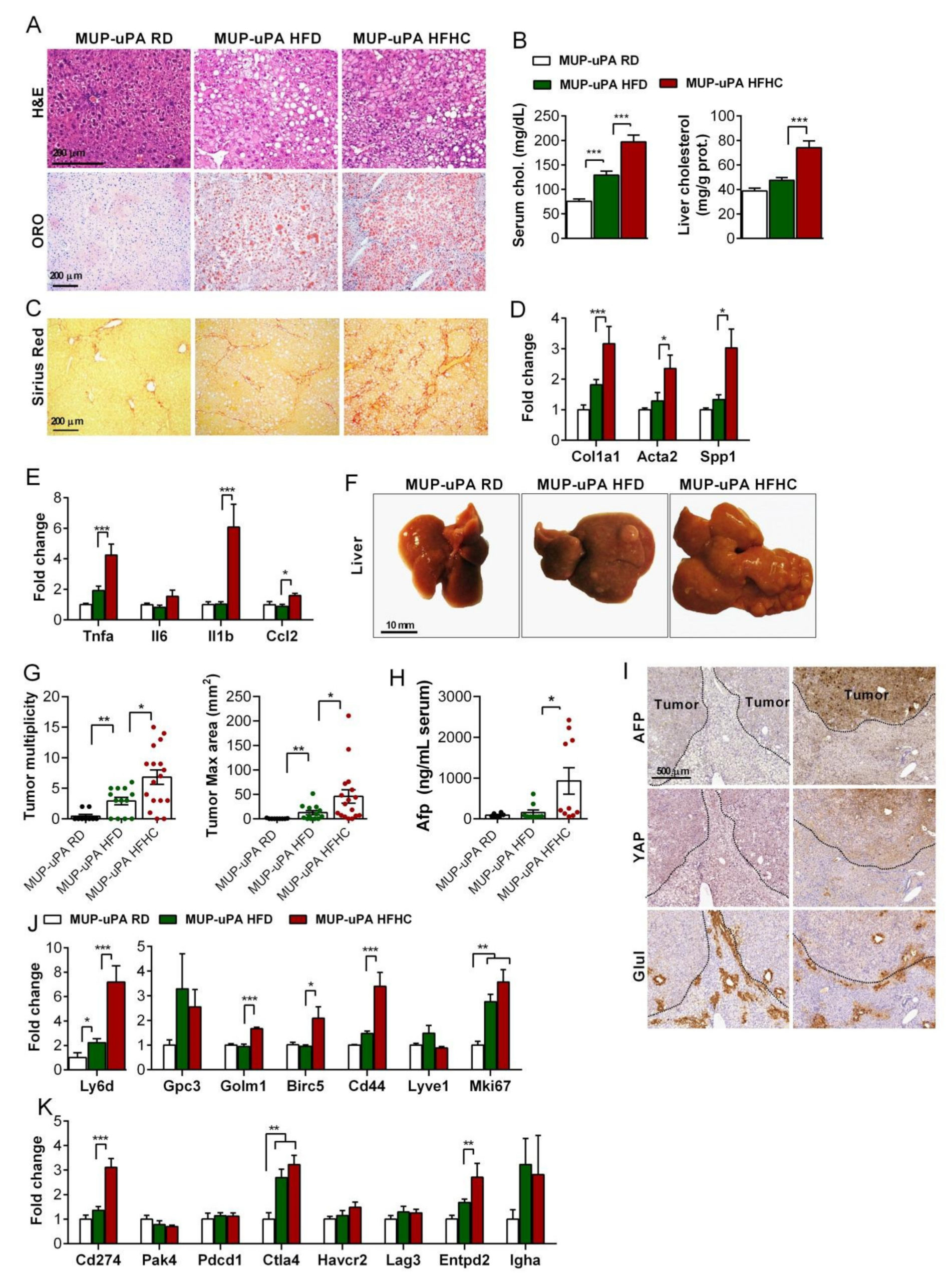 Cancers 13 04091 g005