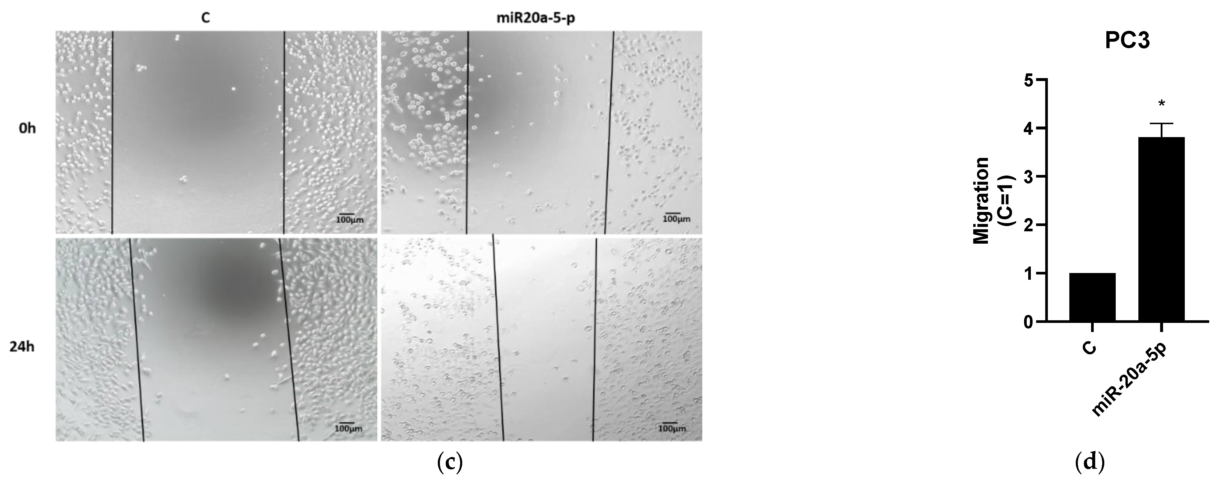 Cancers 13 04096 g003b