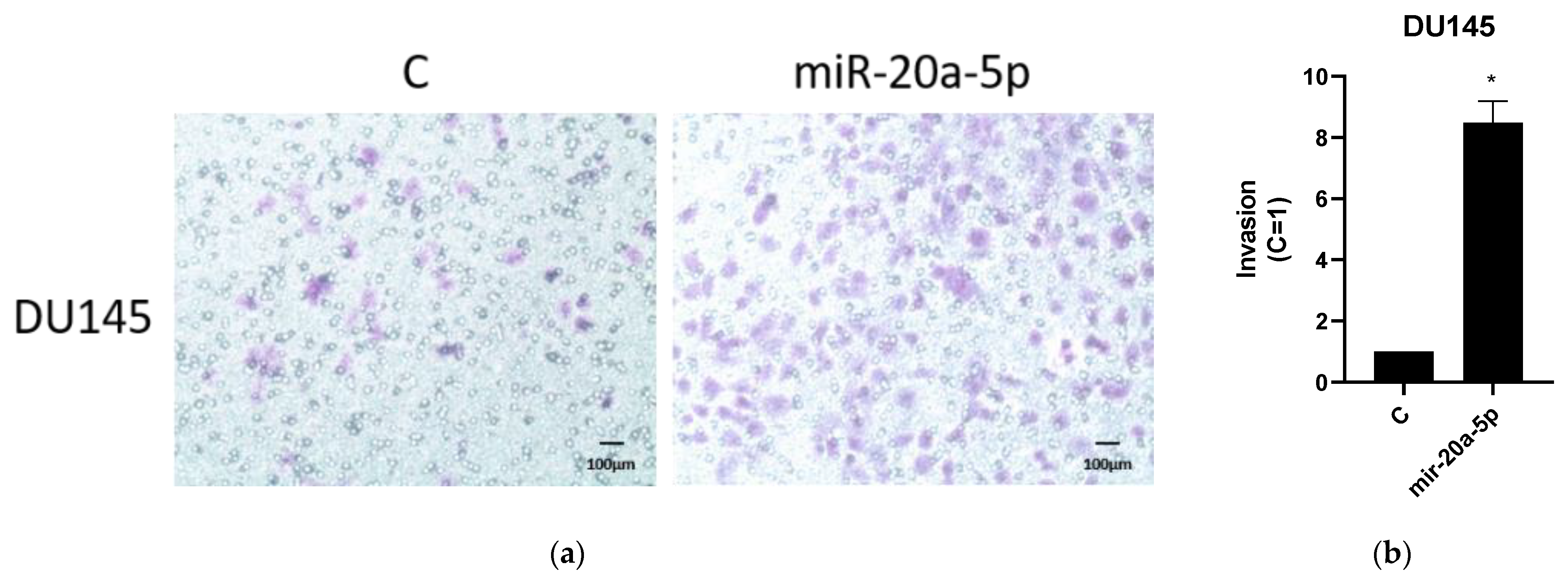 Cancers 13 04096 g004a