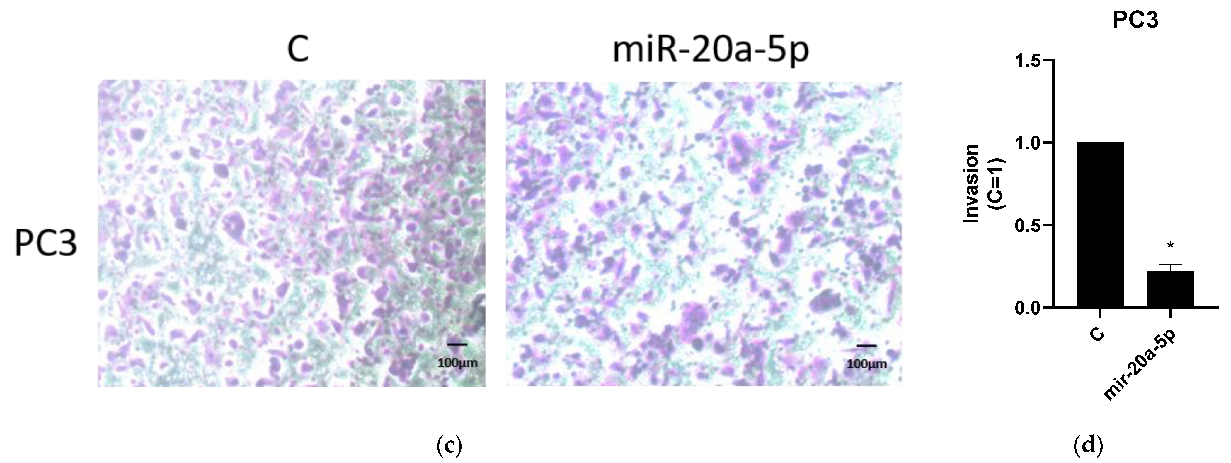 Cancers 13 04096 g004b