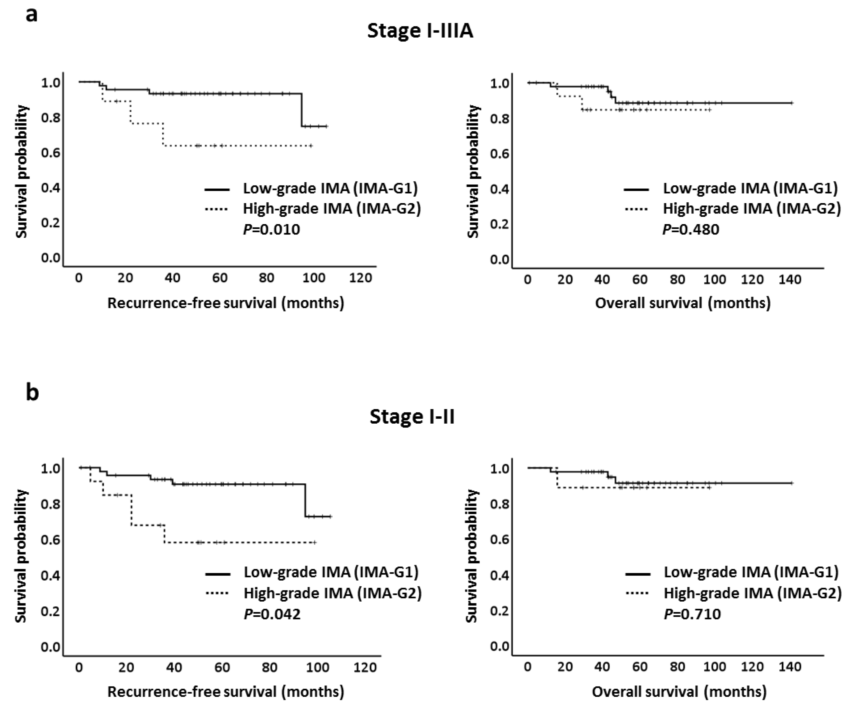 Cancers 13 04103 g002