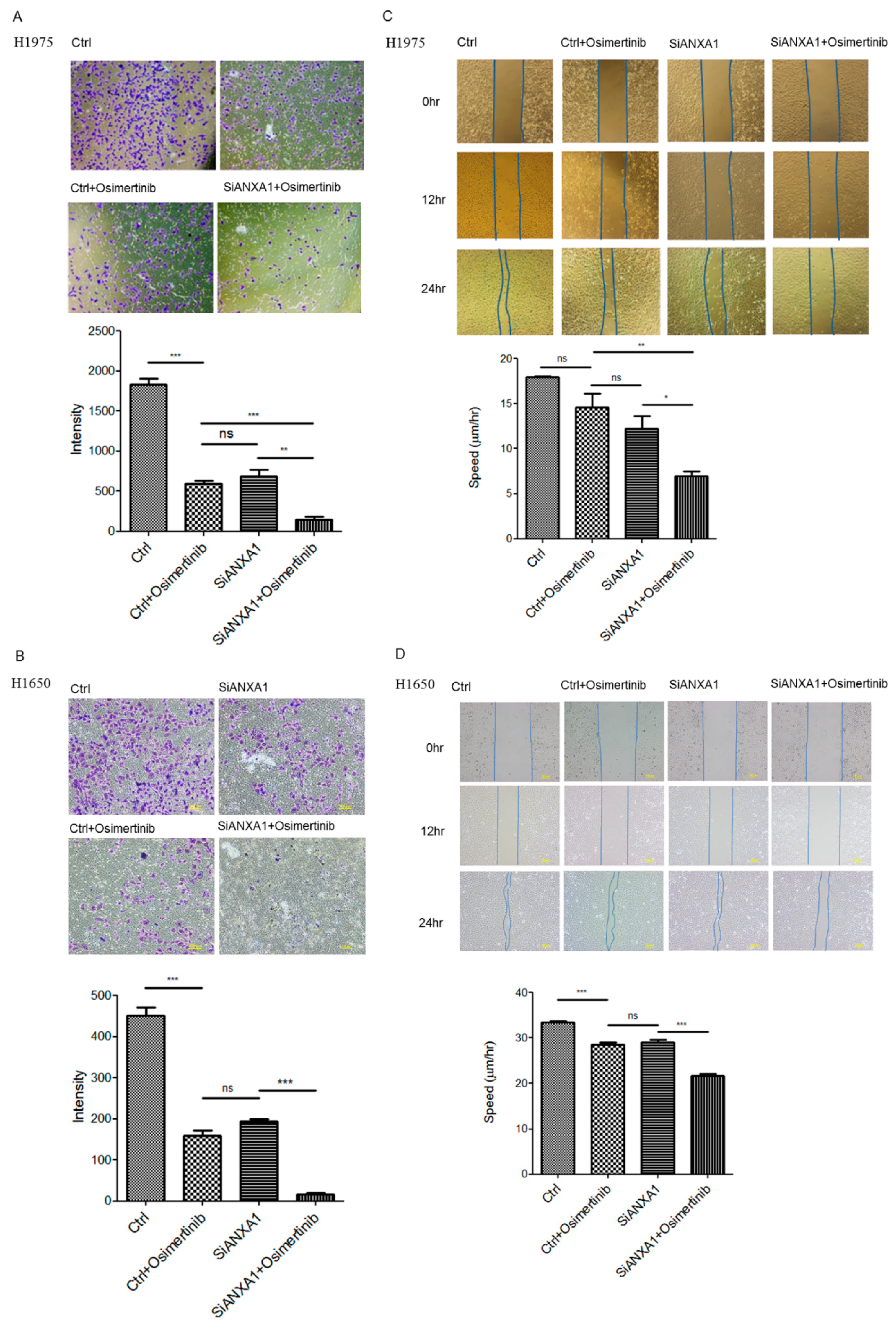 Cancers 13 04106 g003