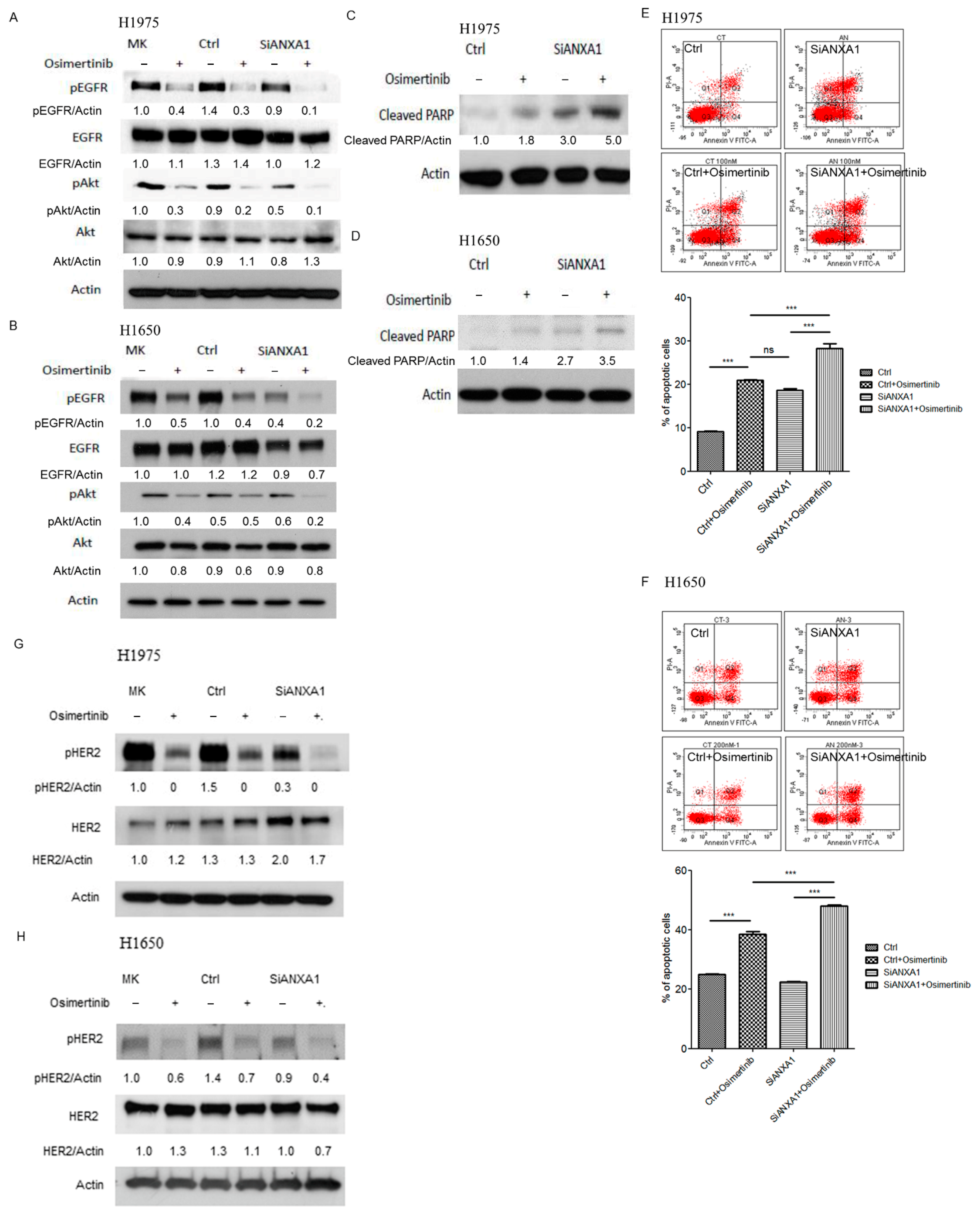 Cancers 13 04106 g004