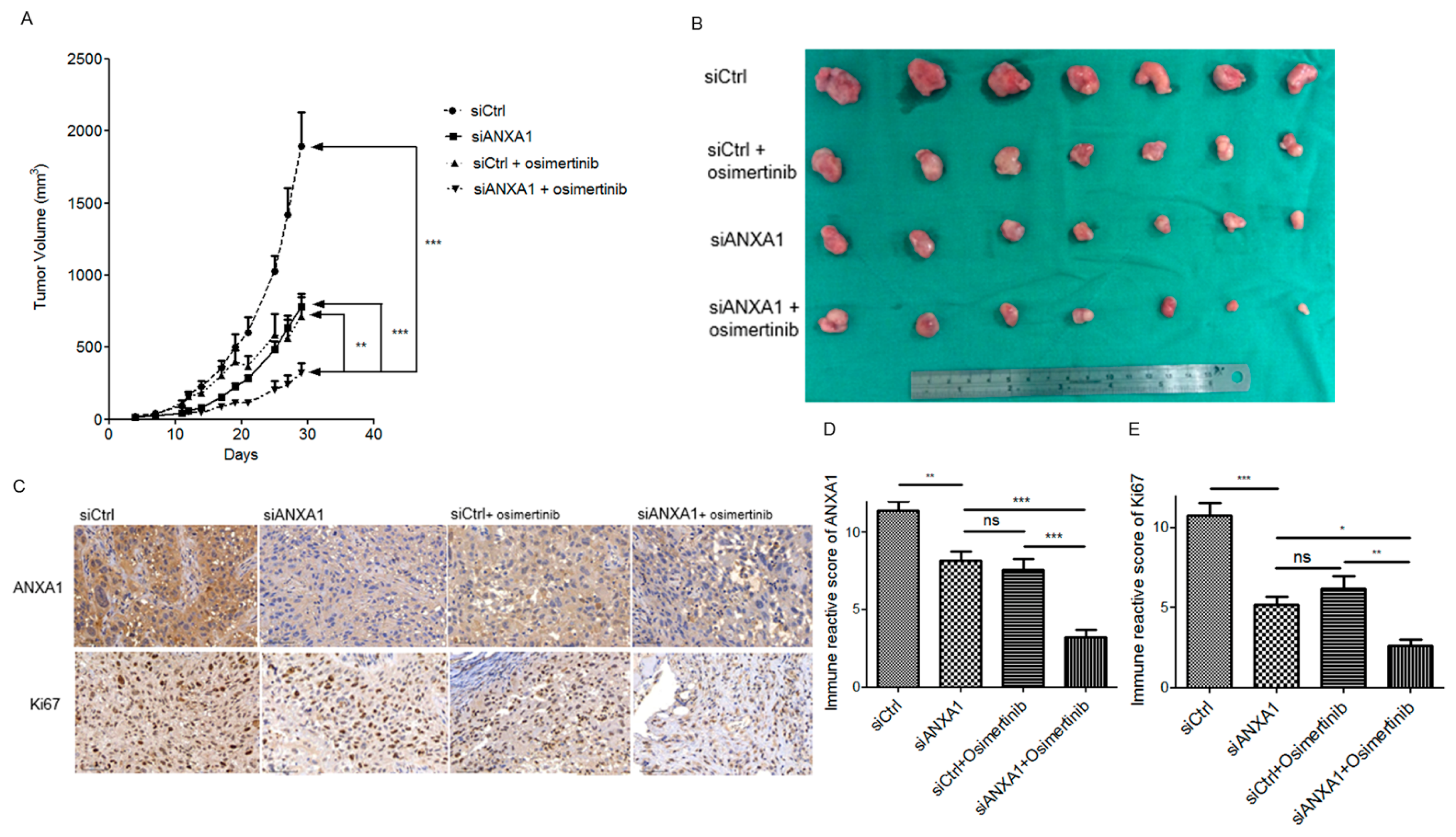 Cancers 13 04106 g005