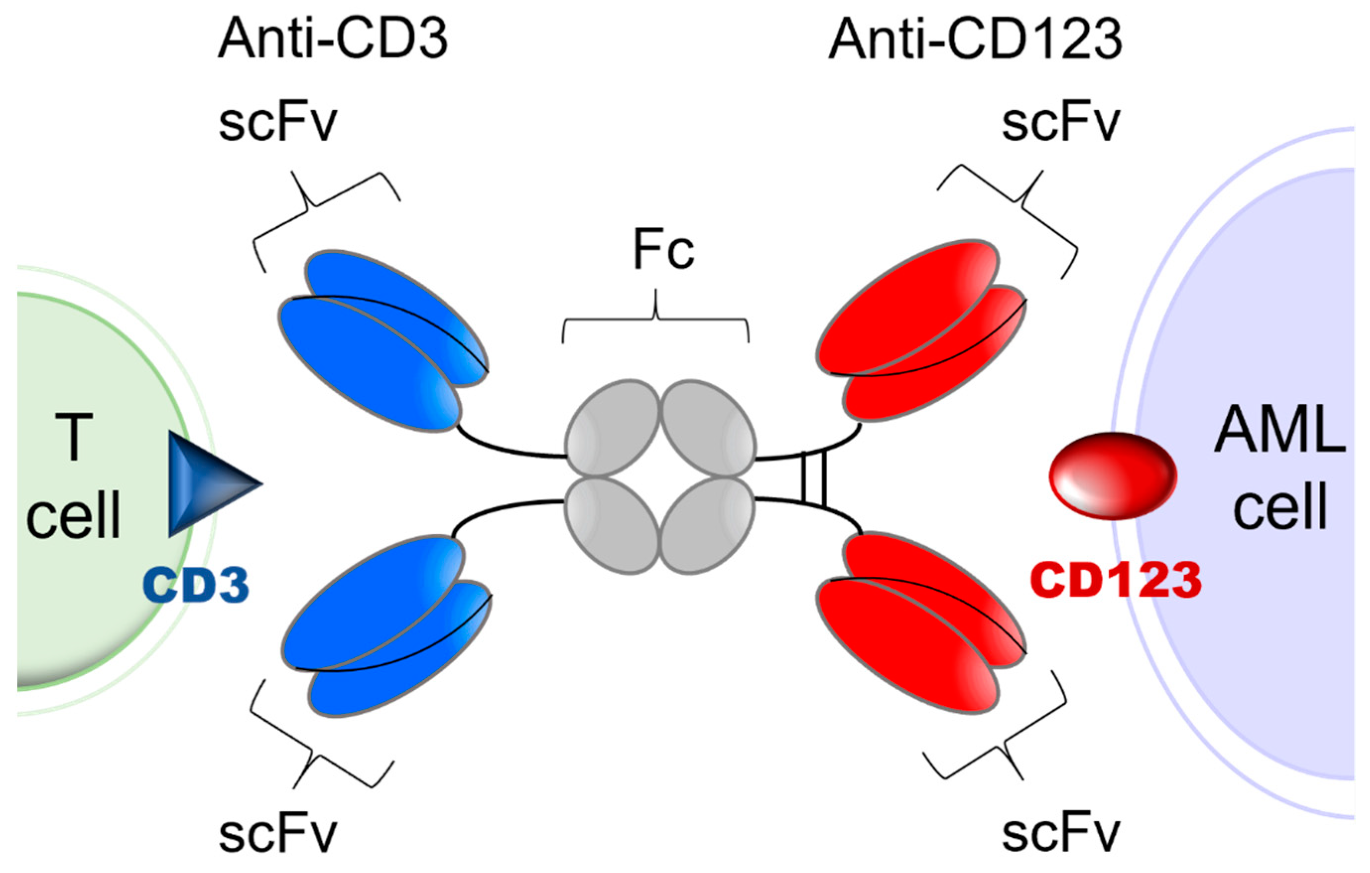 Cancers 13 04113 g001