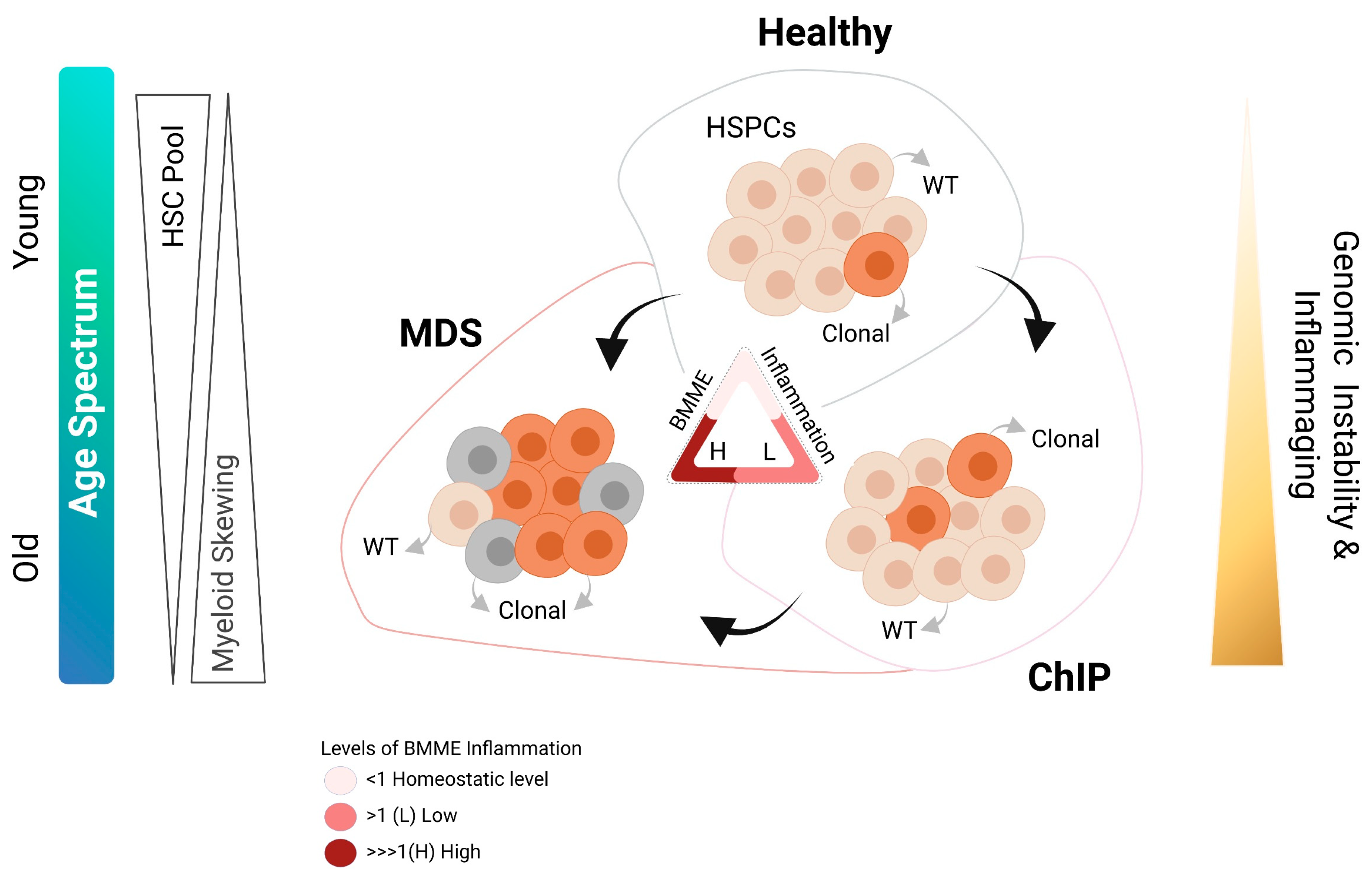 Cancers 13 04116 g001