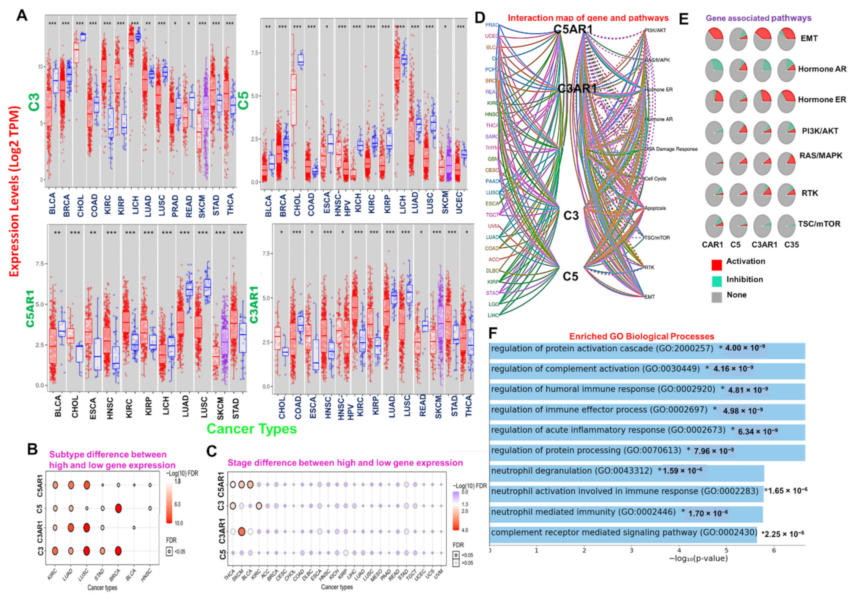 Cancers 13 04124 g001