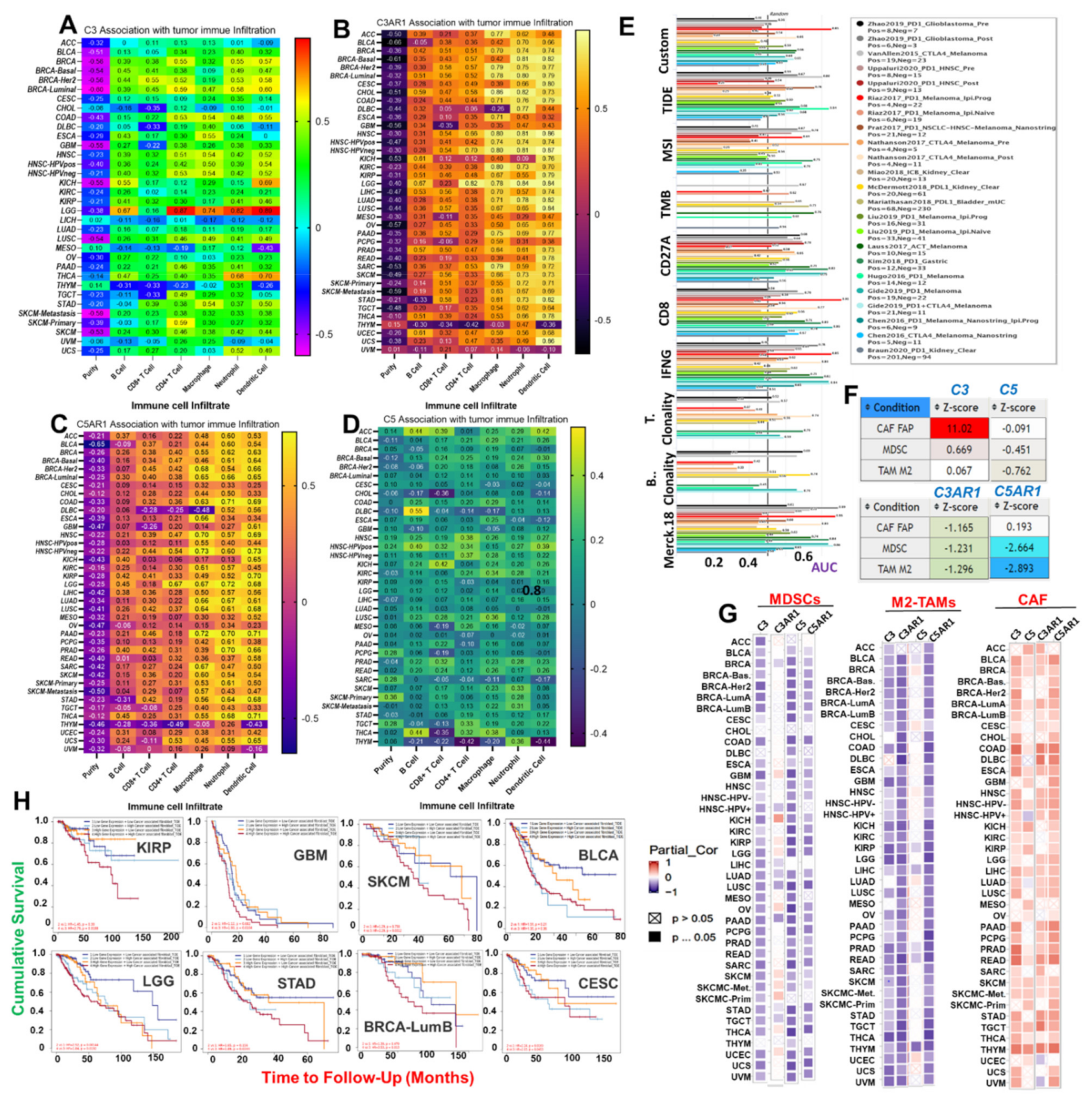 Cancers 13 04124 g002