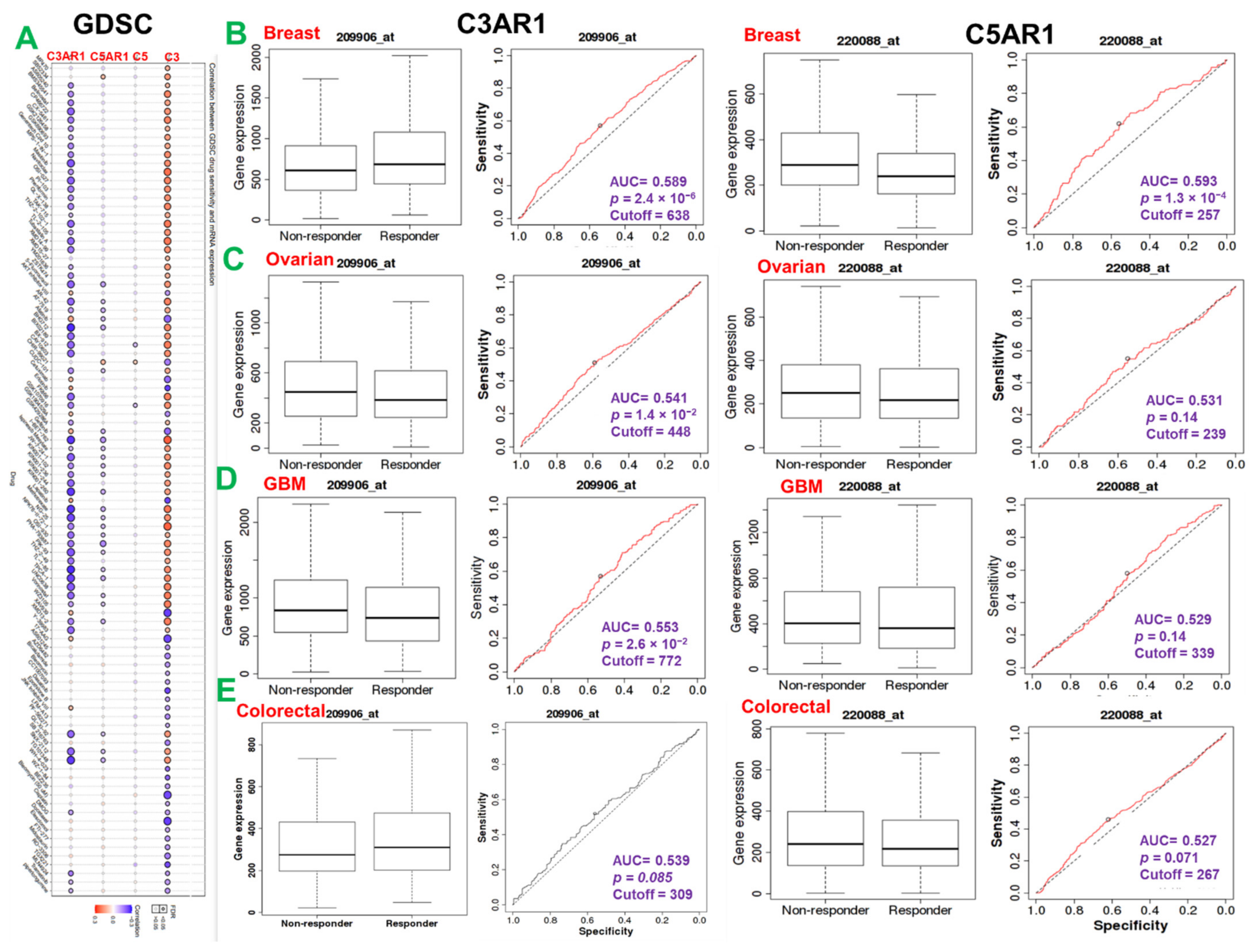 Cancers 13 04124 g005