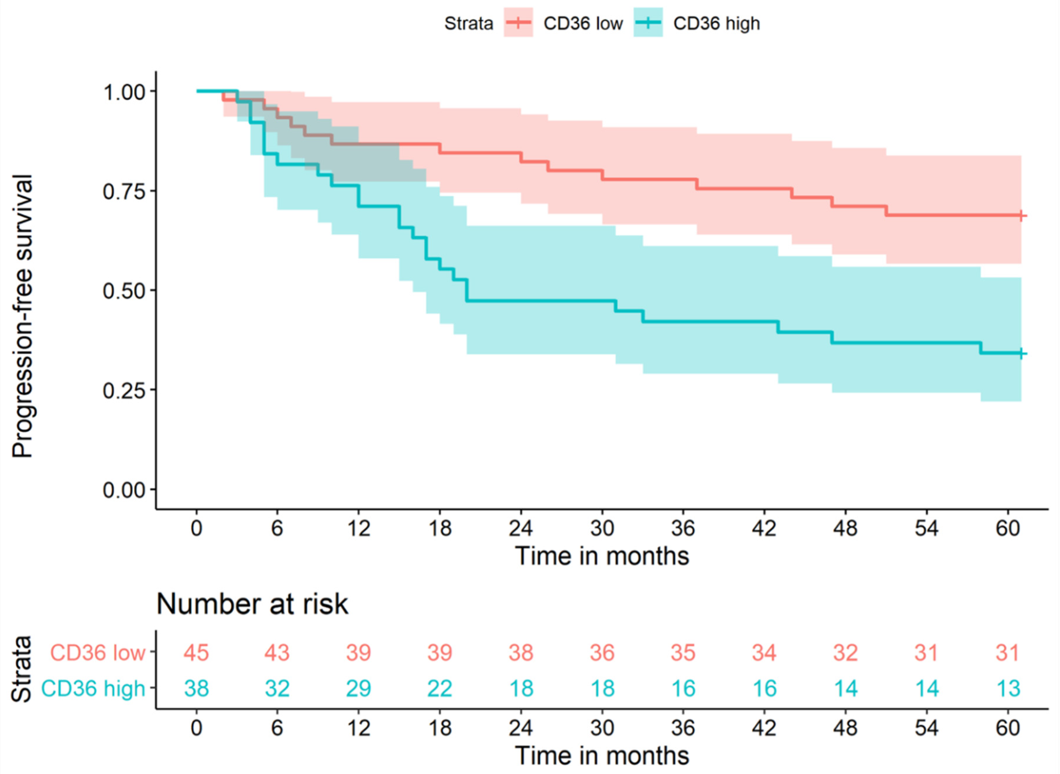 Cancers 13 04125 g002