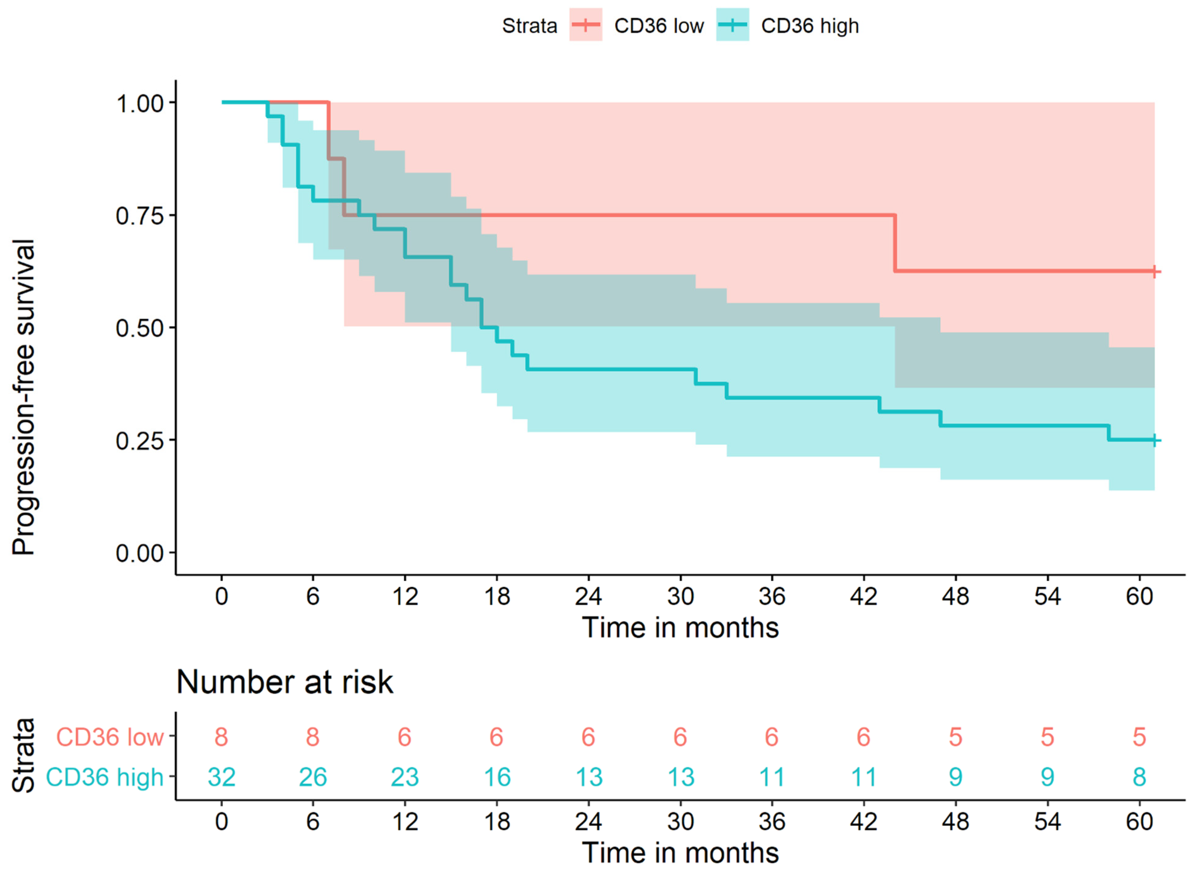 Cancers 13 04125 g003