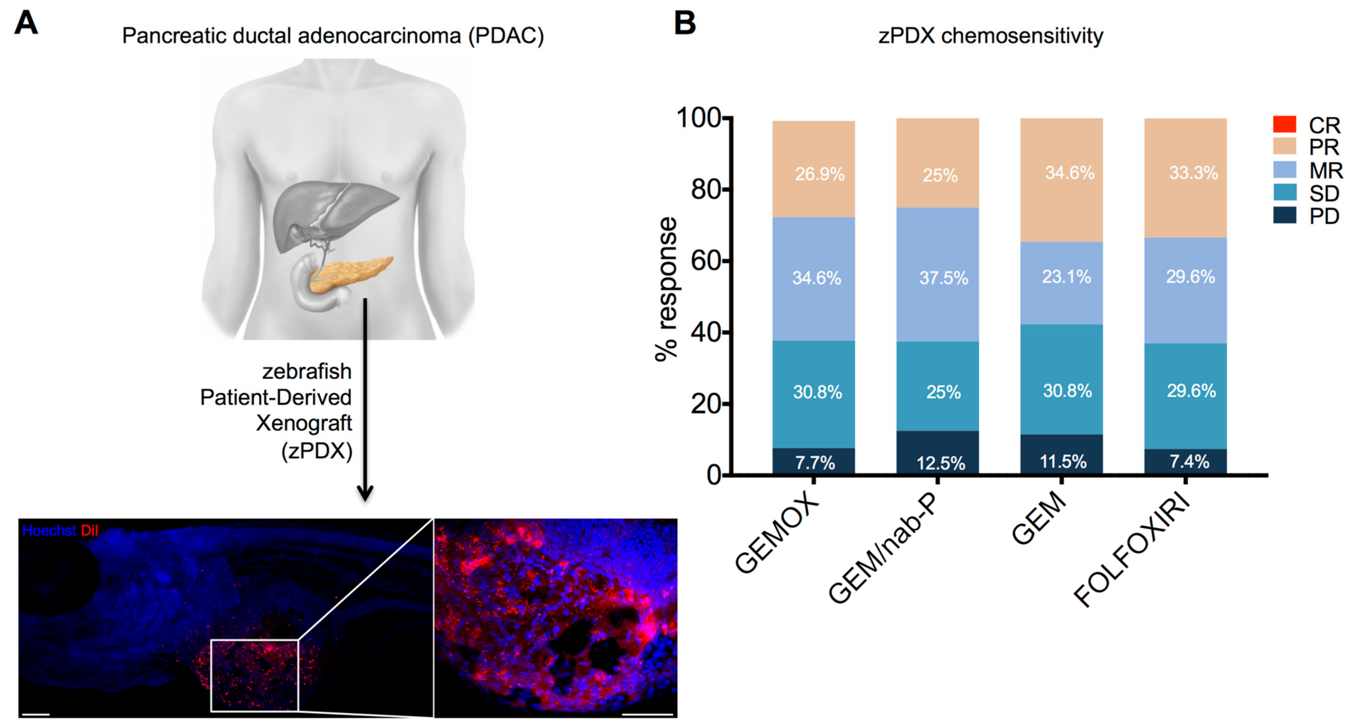 Cancers 13 04131 g001