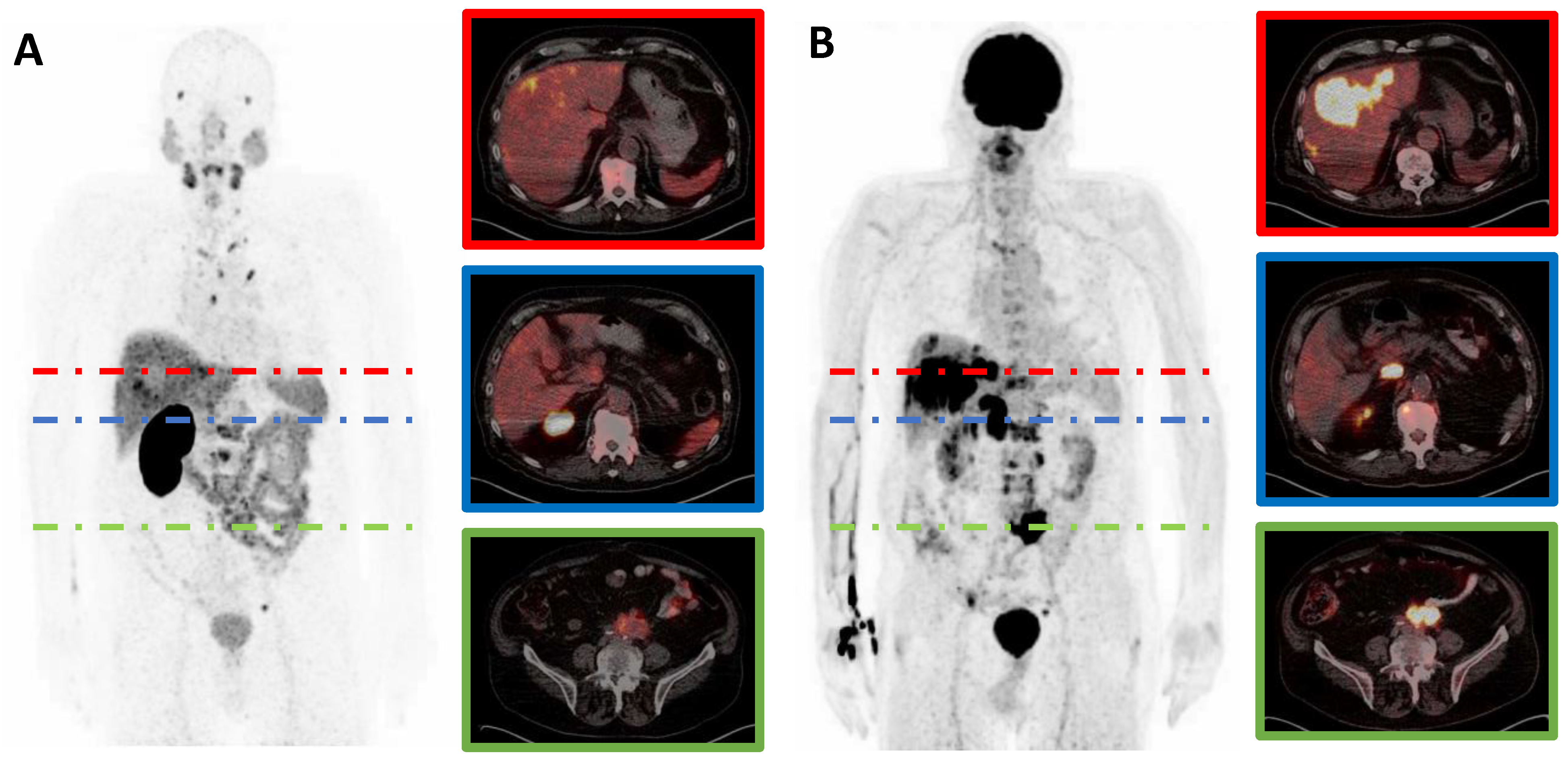 Cancers 13 04134 g001