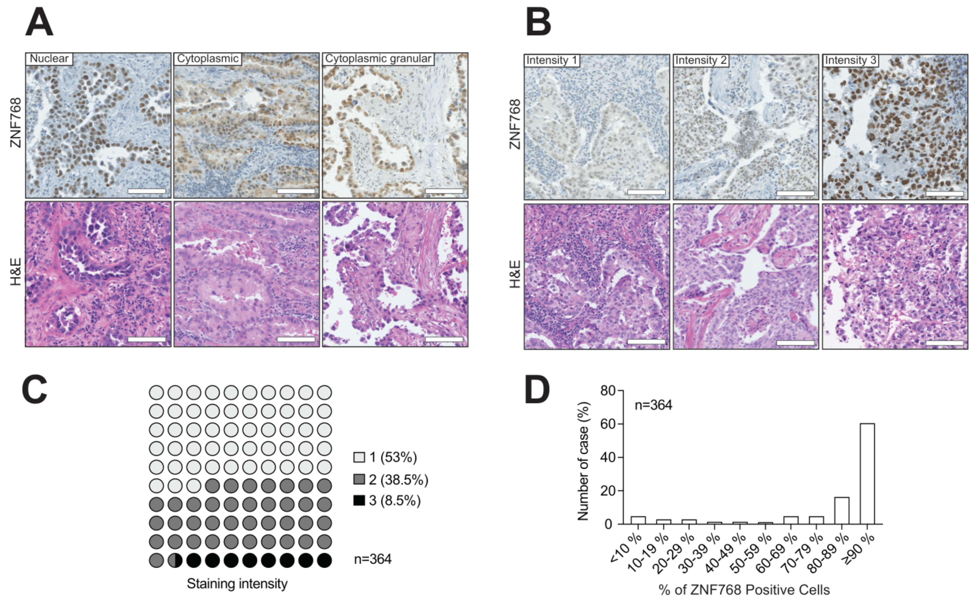 Cancers 13 04136 g001