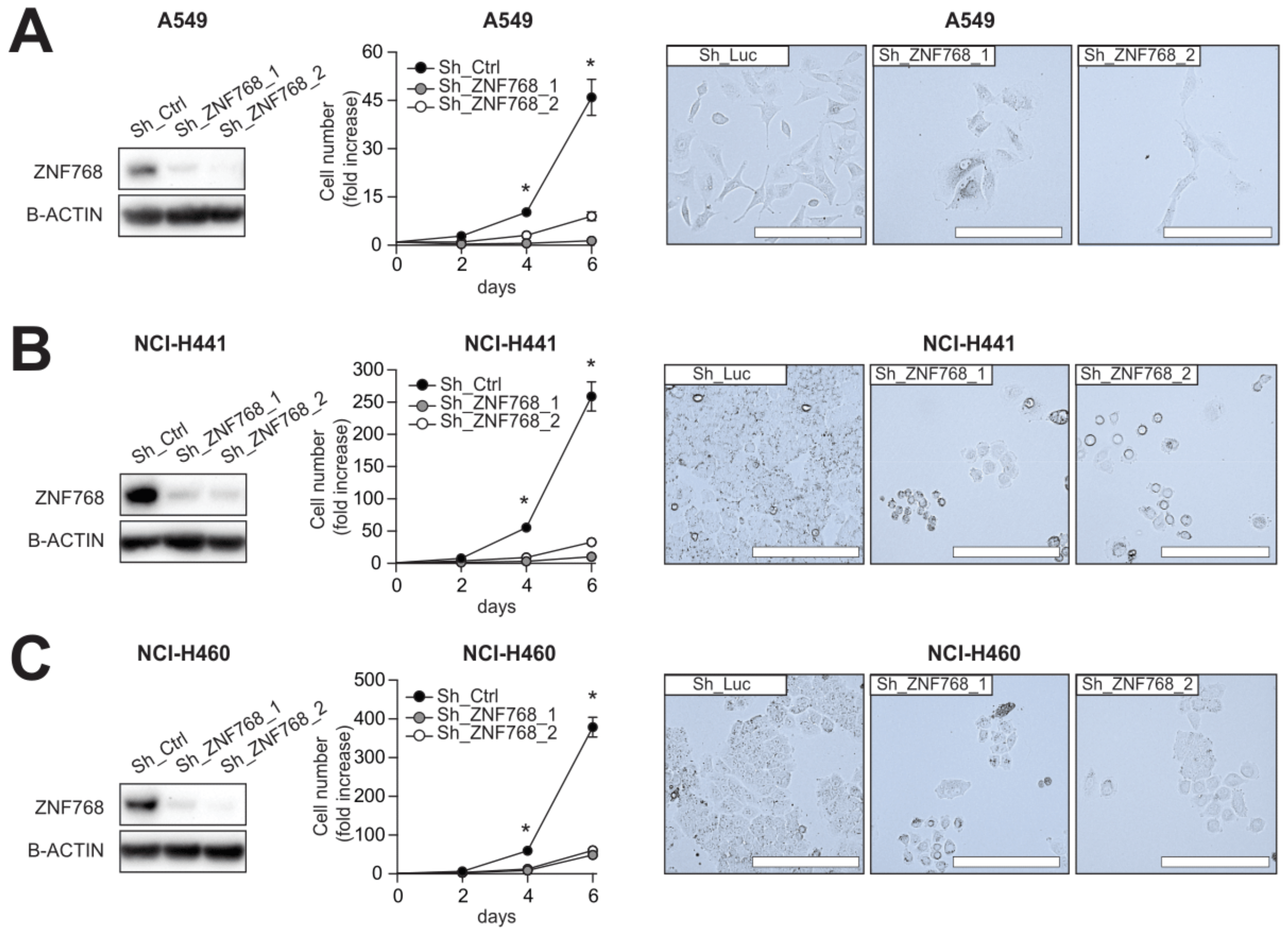 Cancers 13 04136 g003