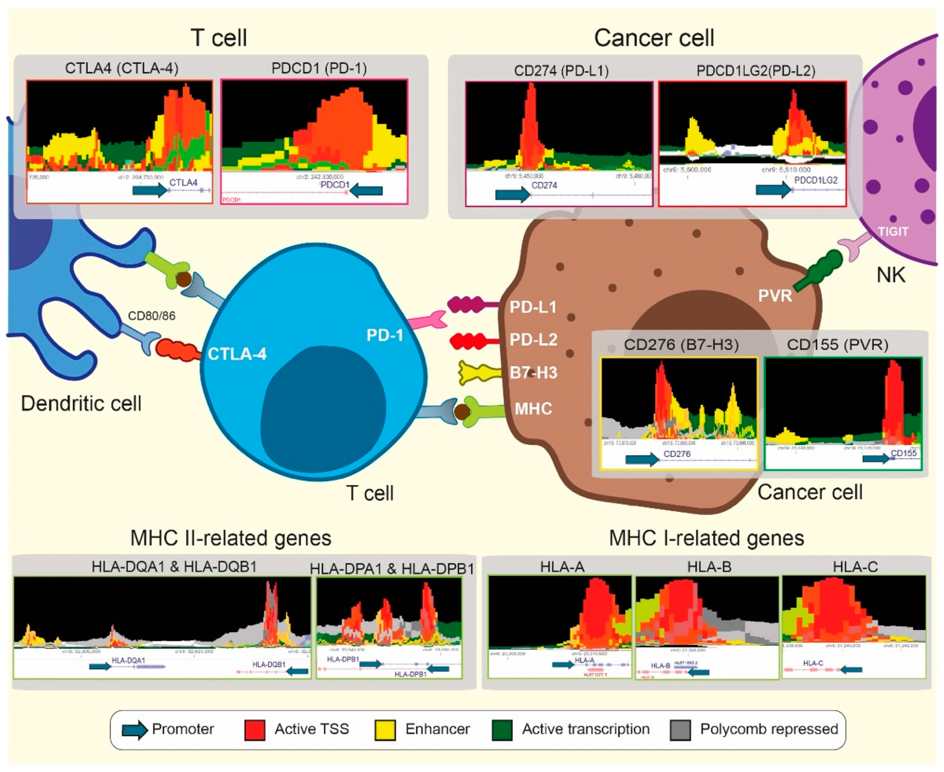 Cancers 13 04139 g003
