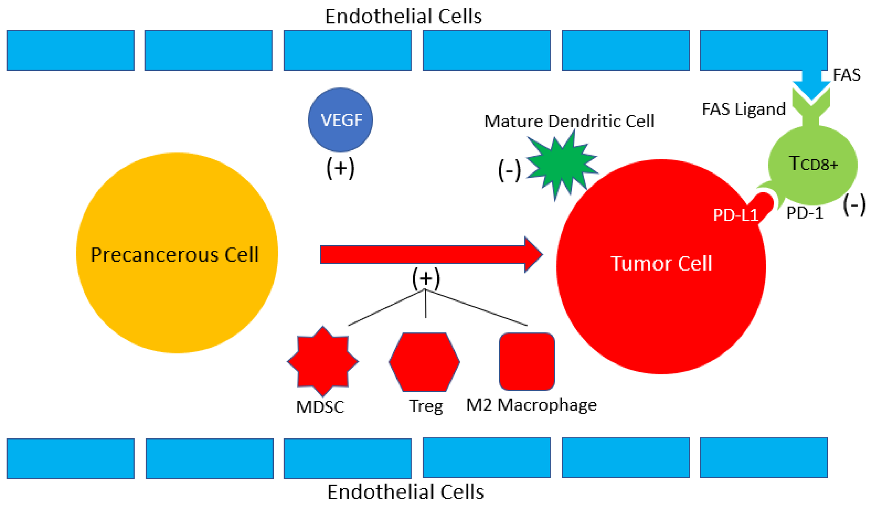 Cancers 13 04140 g001