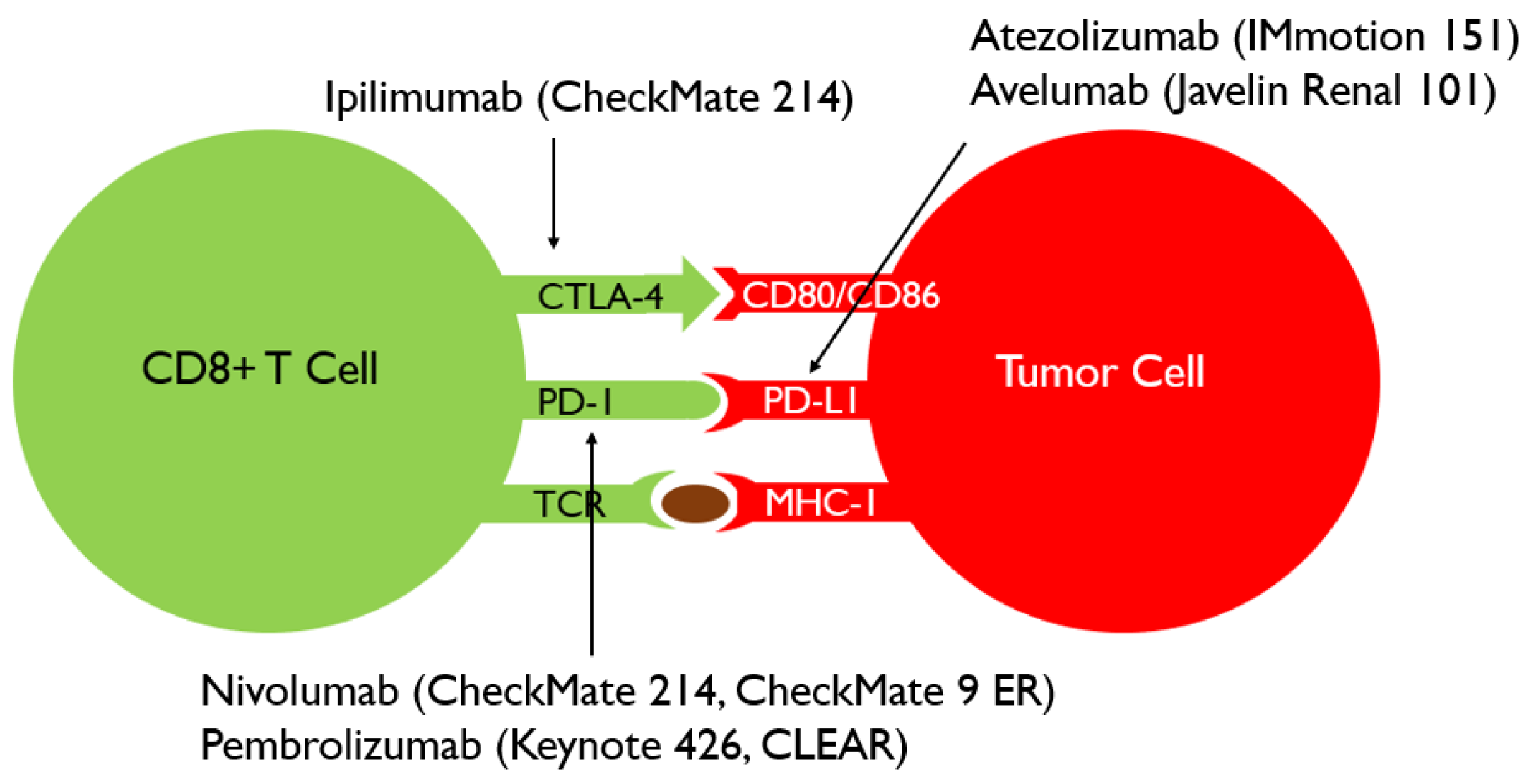 Cancers 13 04140 g003