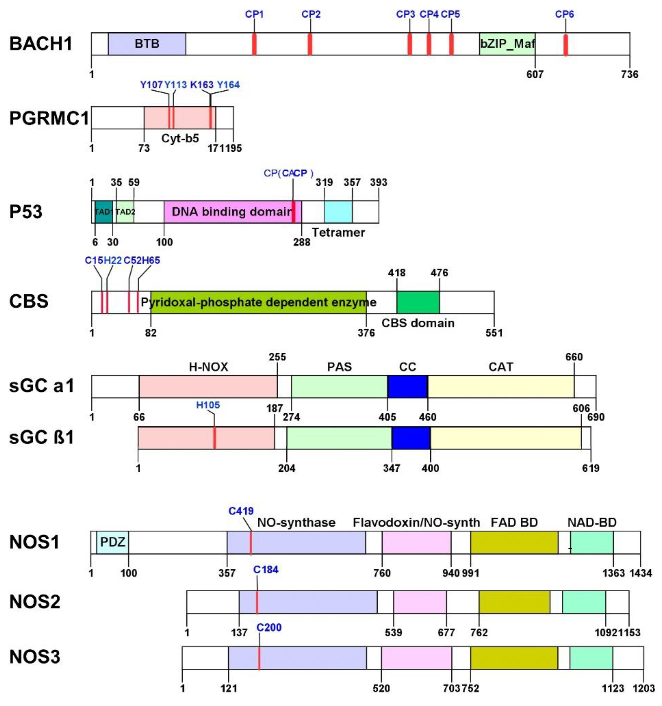Cancers 13 04142 g002