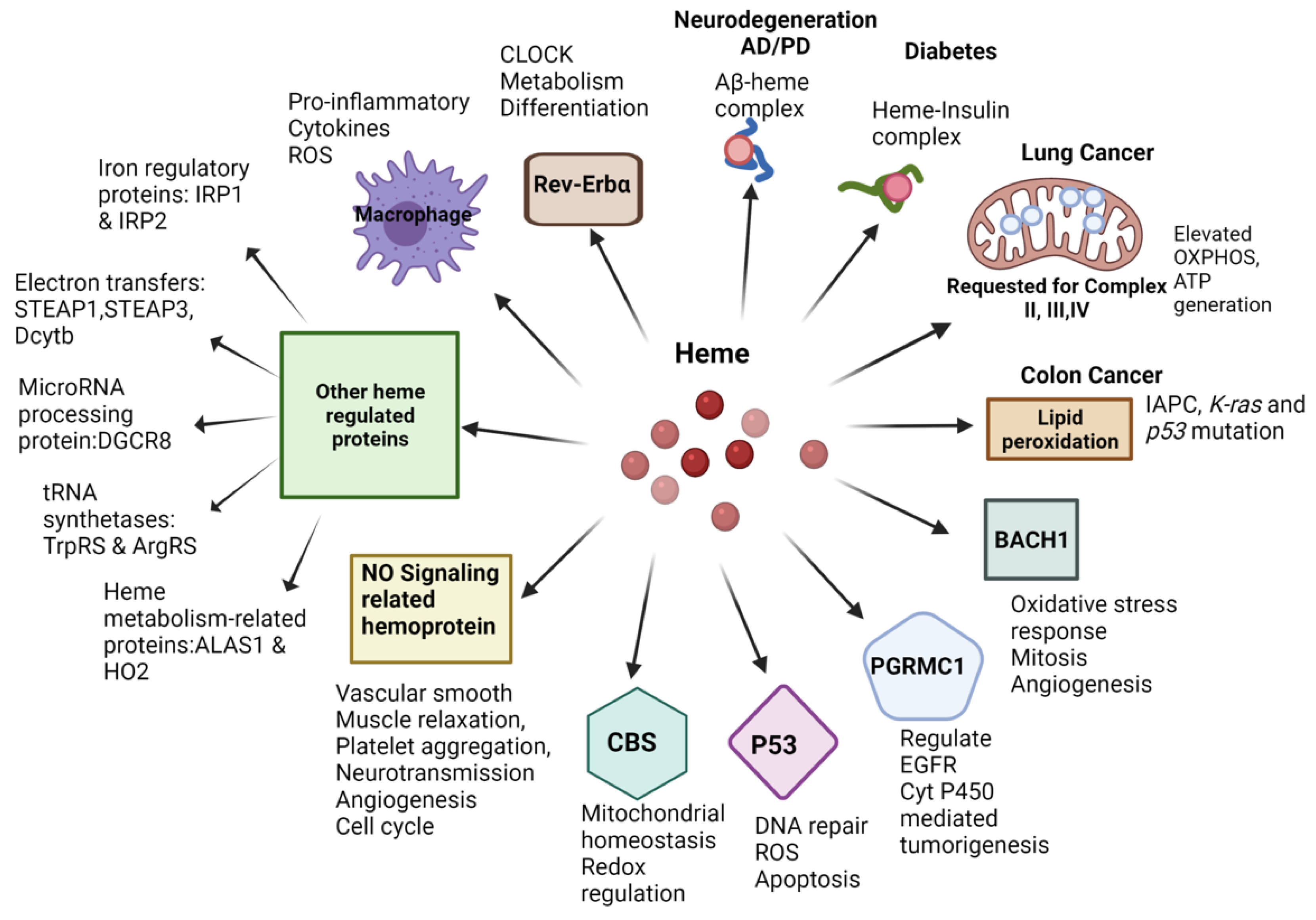Cancers 13 04142 g003
