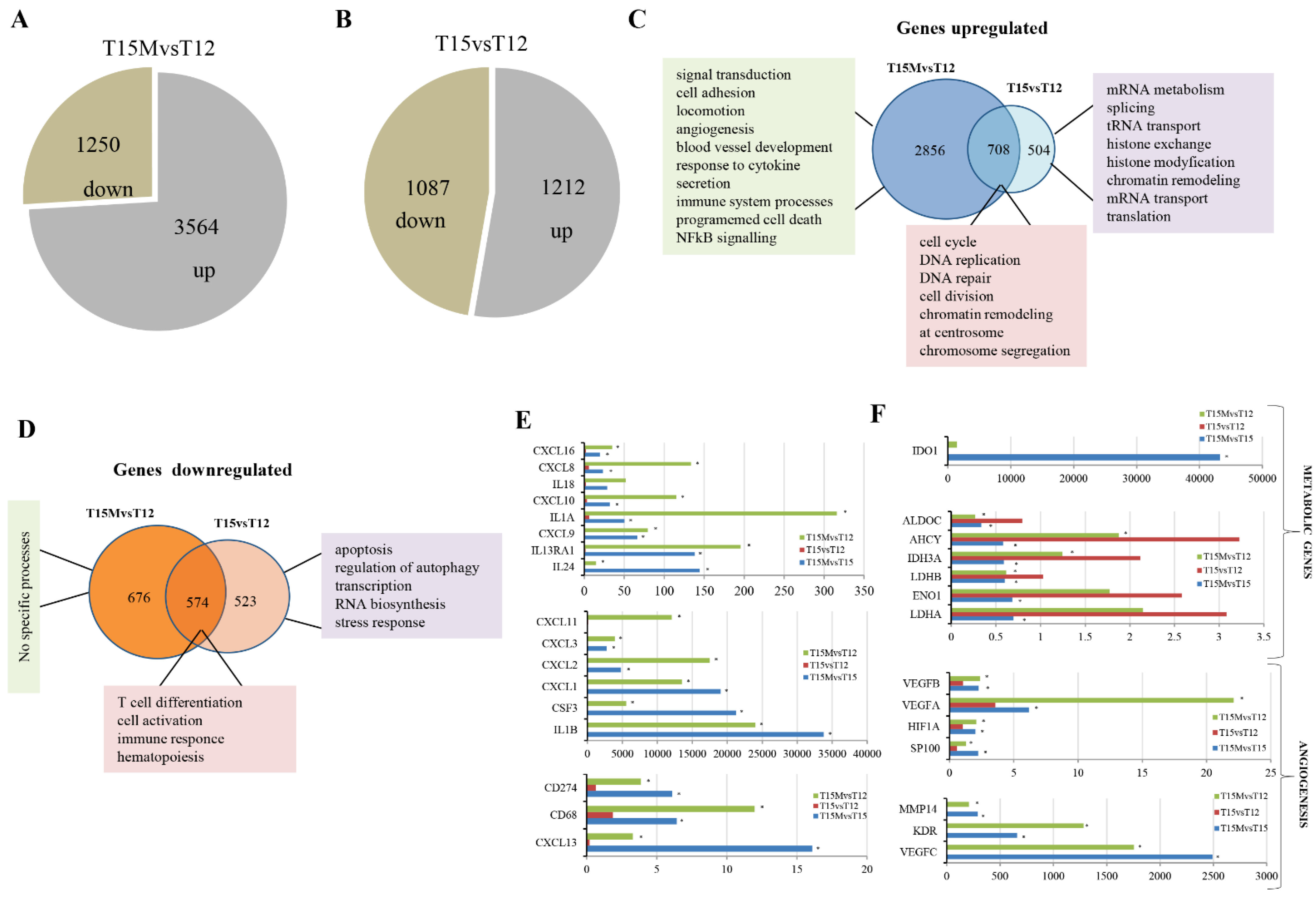 Cancers 13 04148 g002