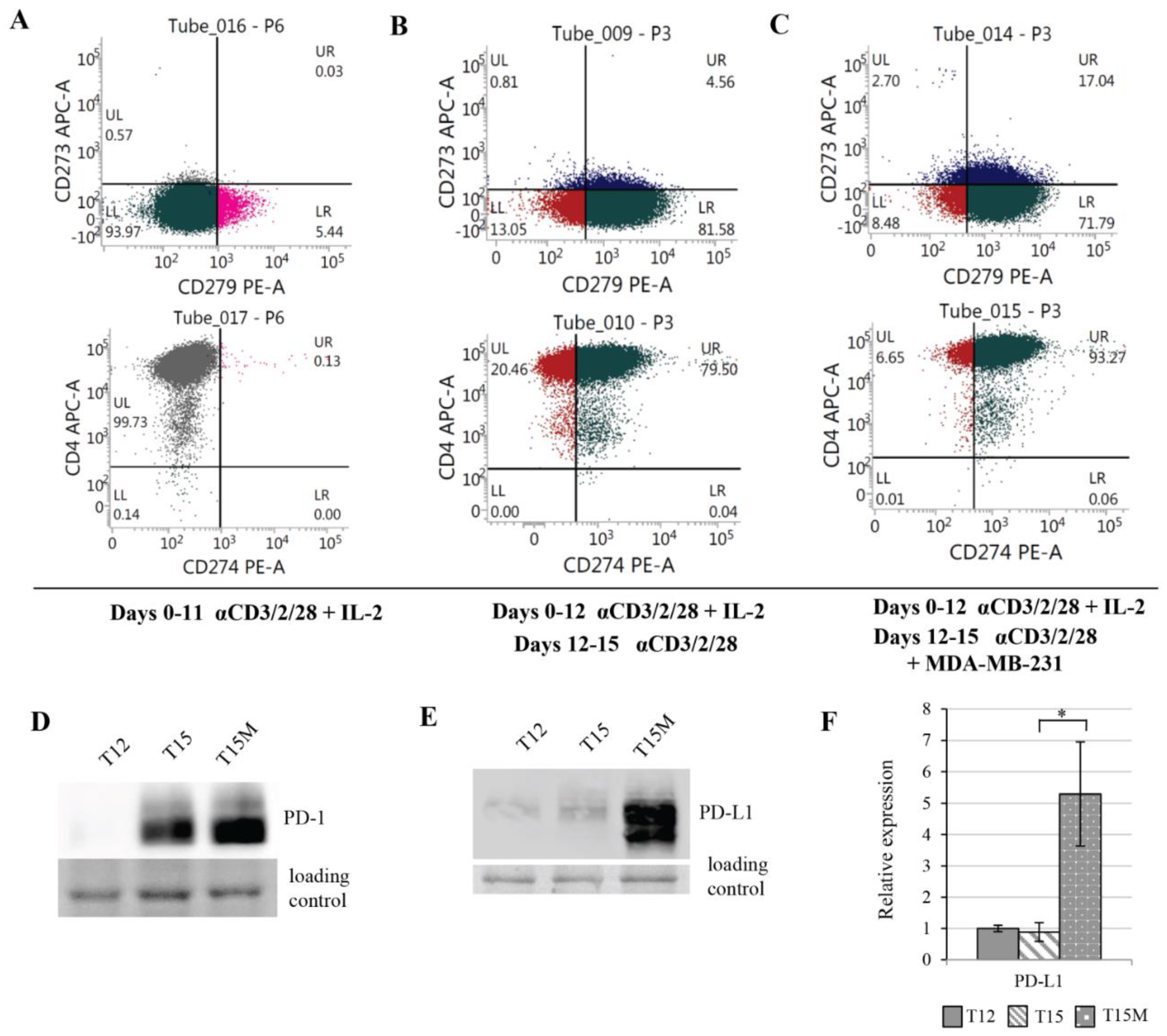 Cancers 13 04148 g003