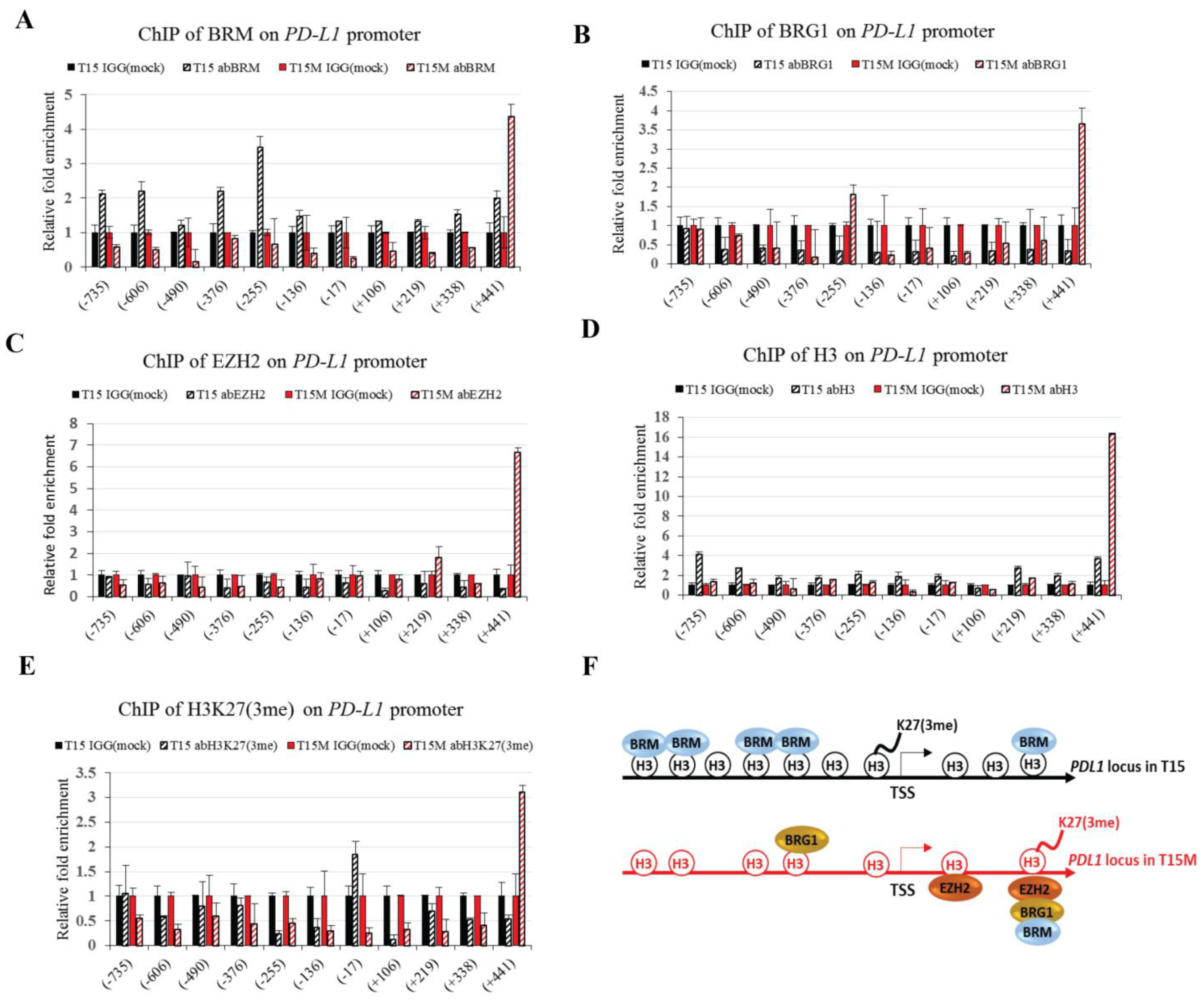 Cancers 13 04148 g006