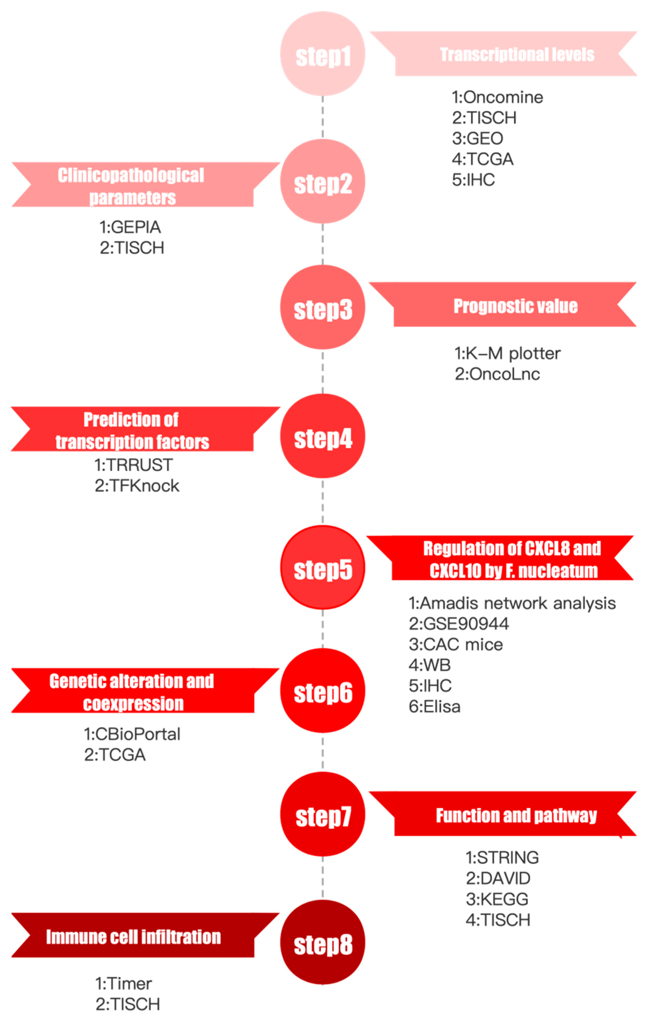 Cancers 13 04153 g001