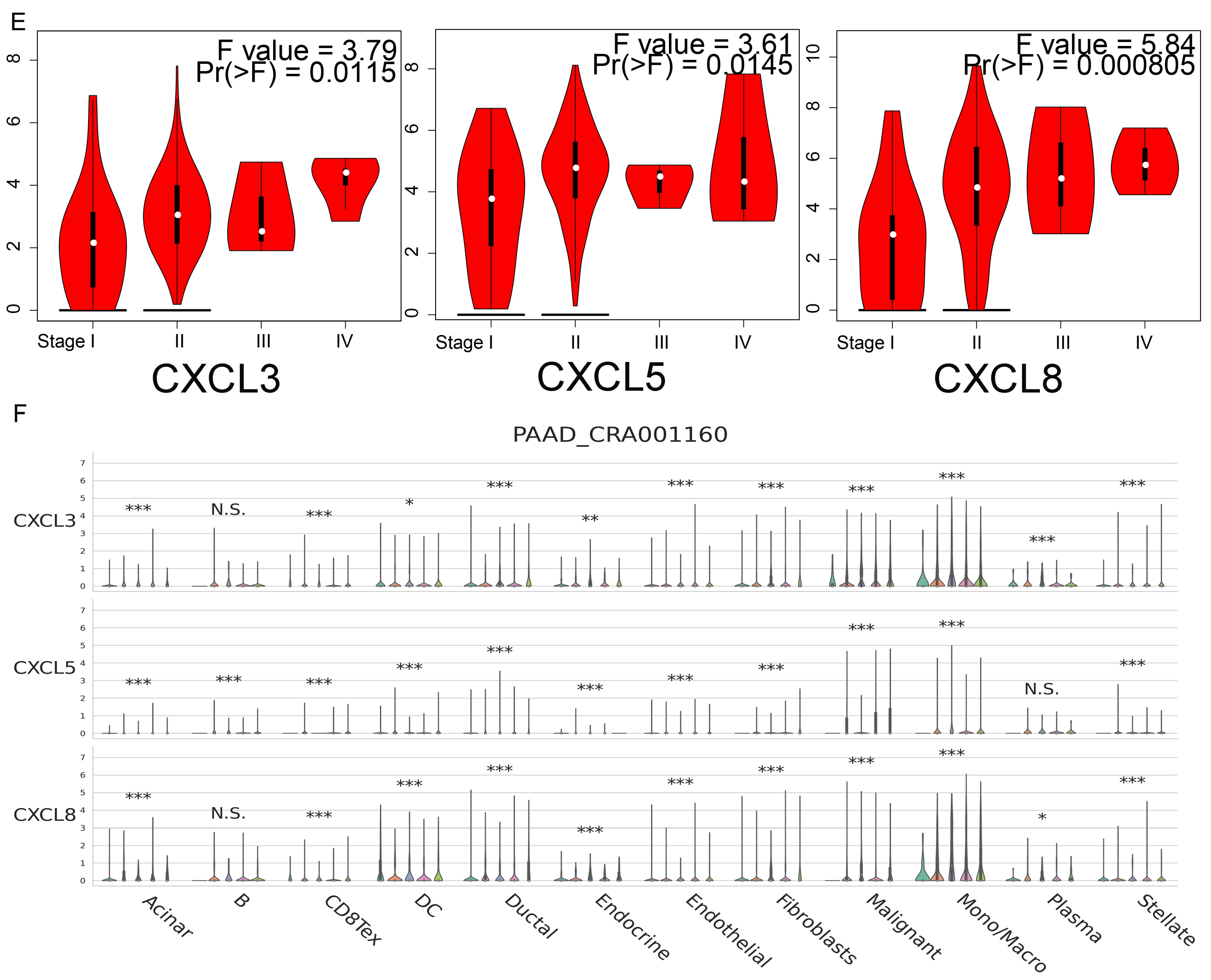 Cancers 13 04153 g005b