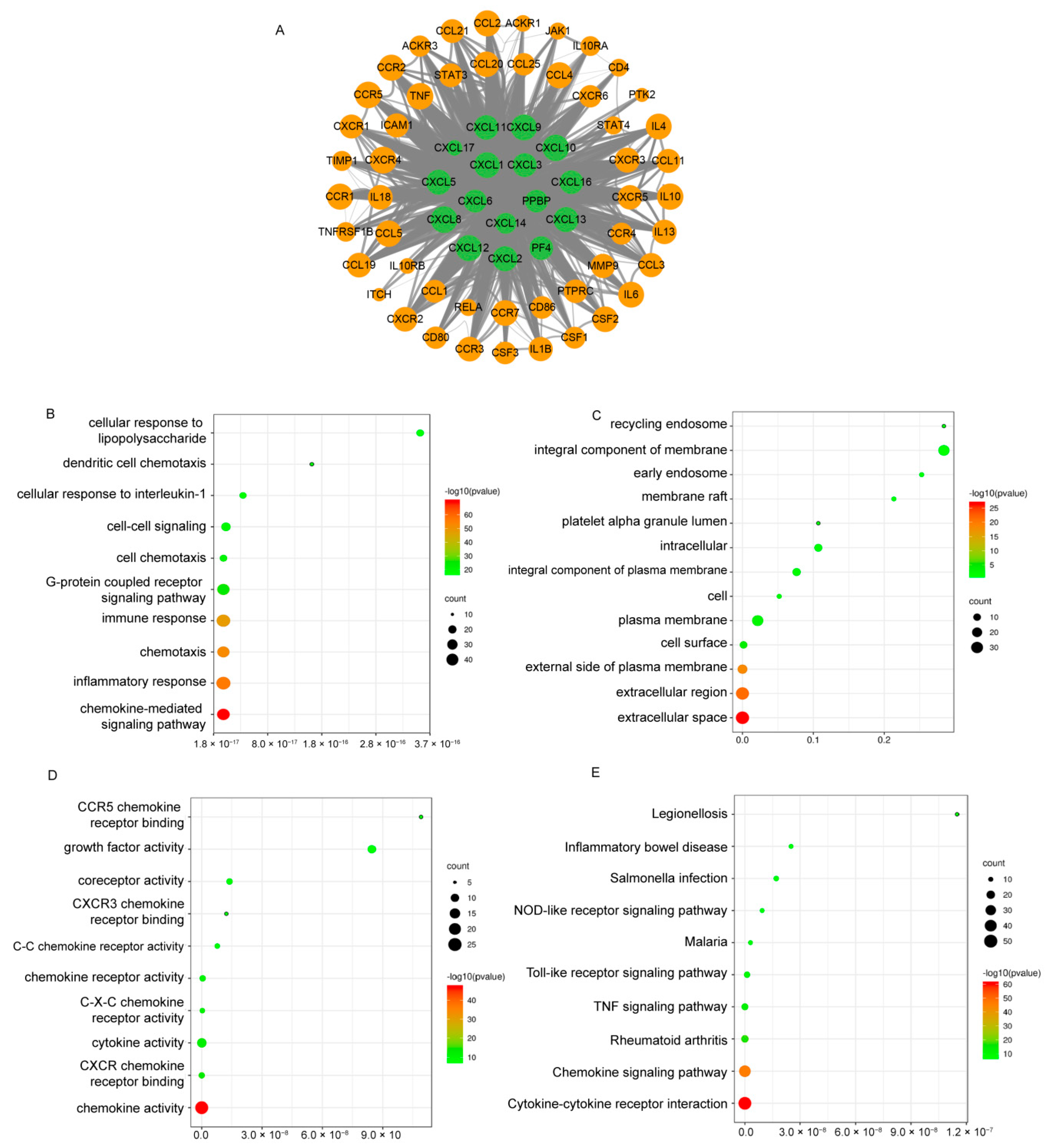 Cancers 13 04153 g014