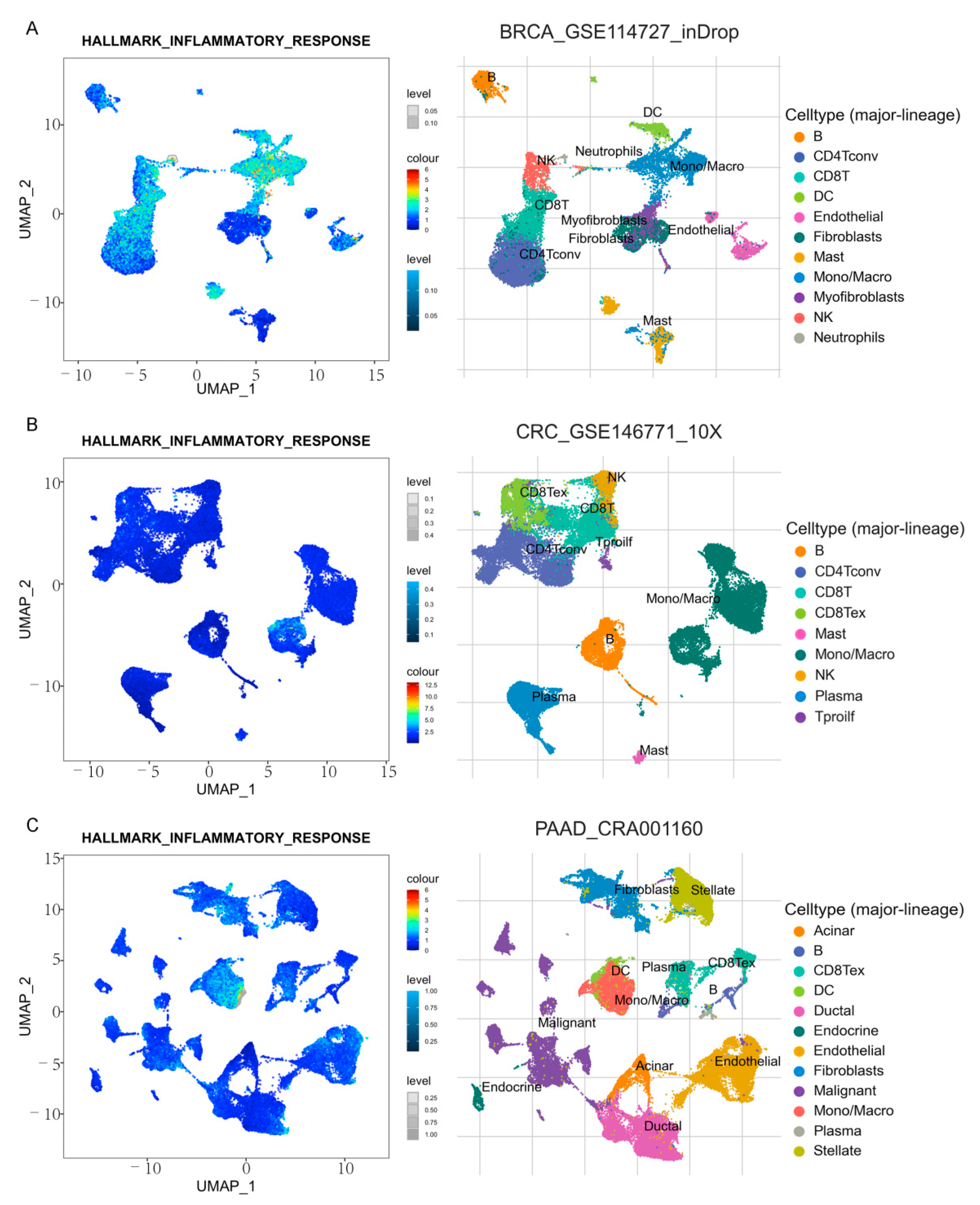 Cancers 13 04153 g015