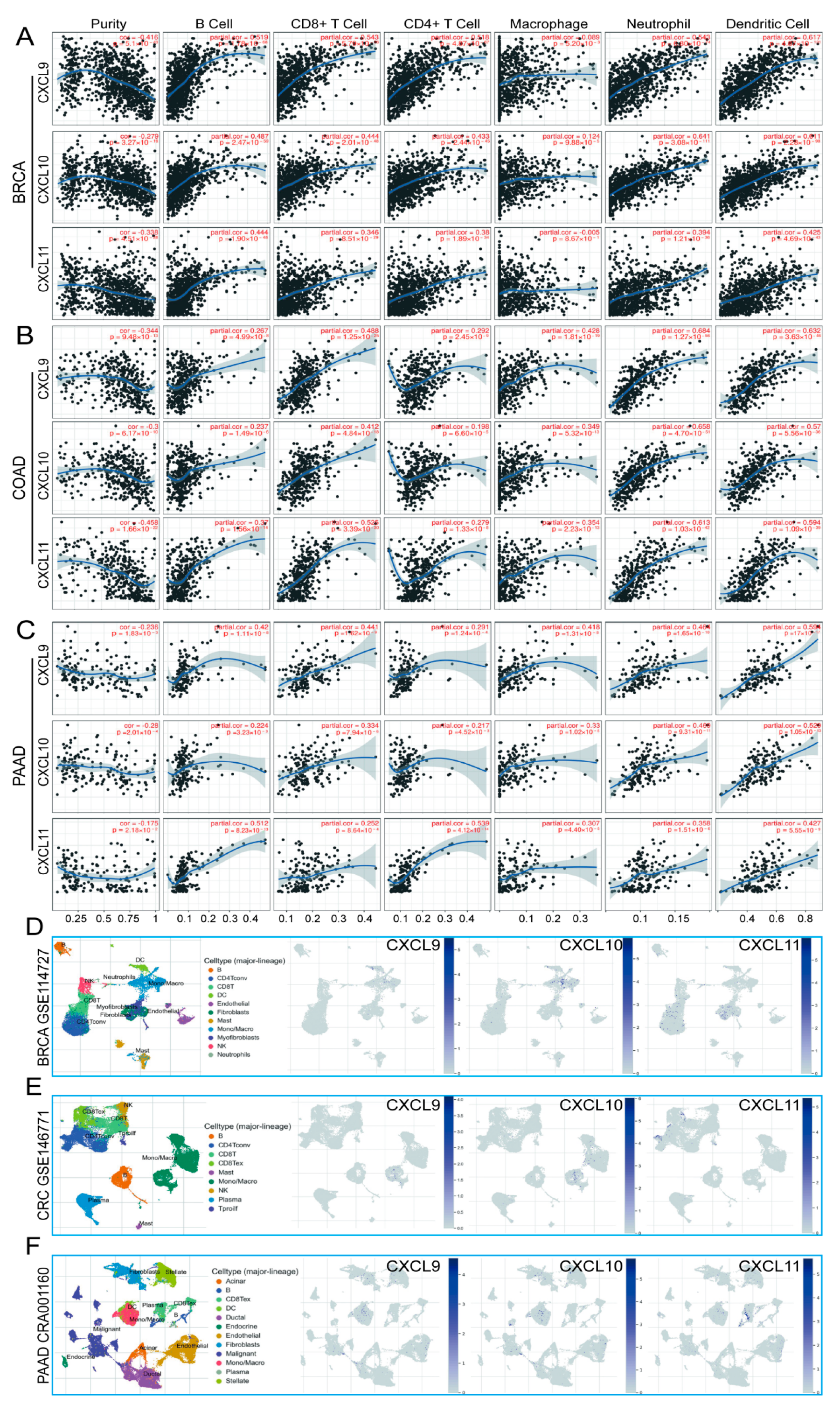 Cancers 13 04153 g016