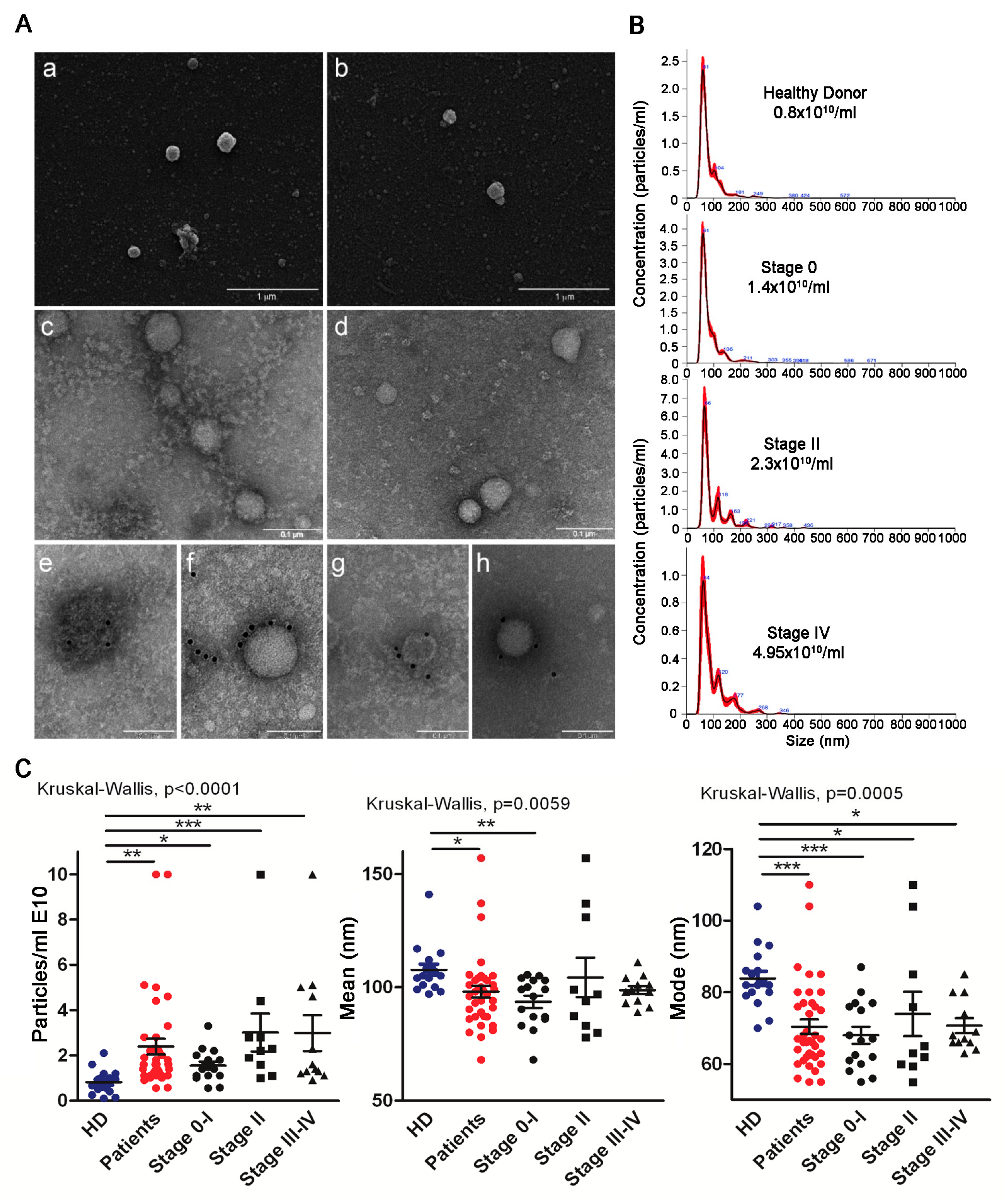 Cancers 13 04157 g001