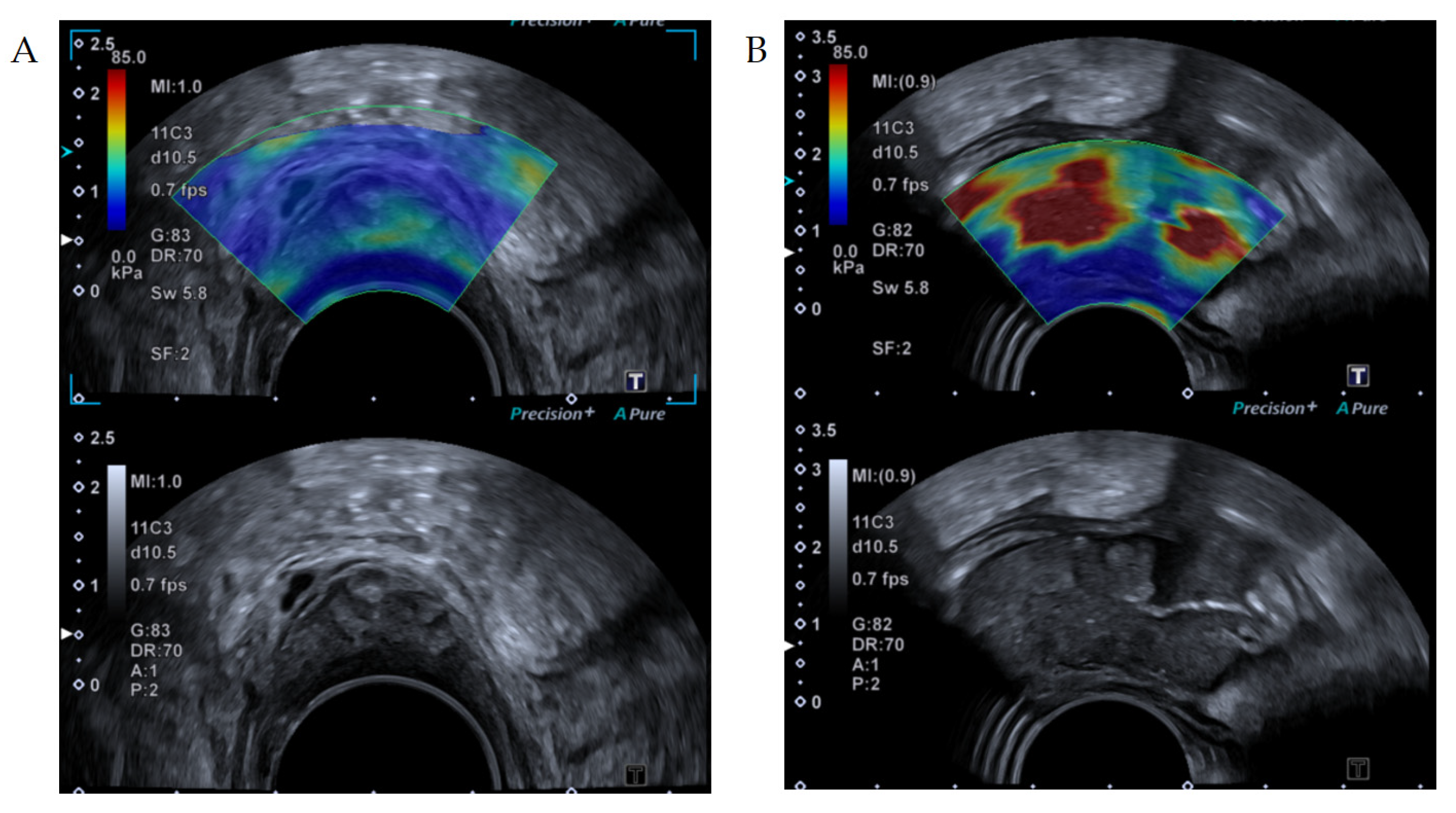 Cancers 13 04158 g001