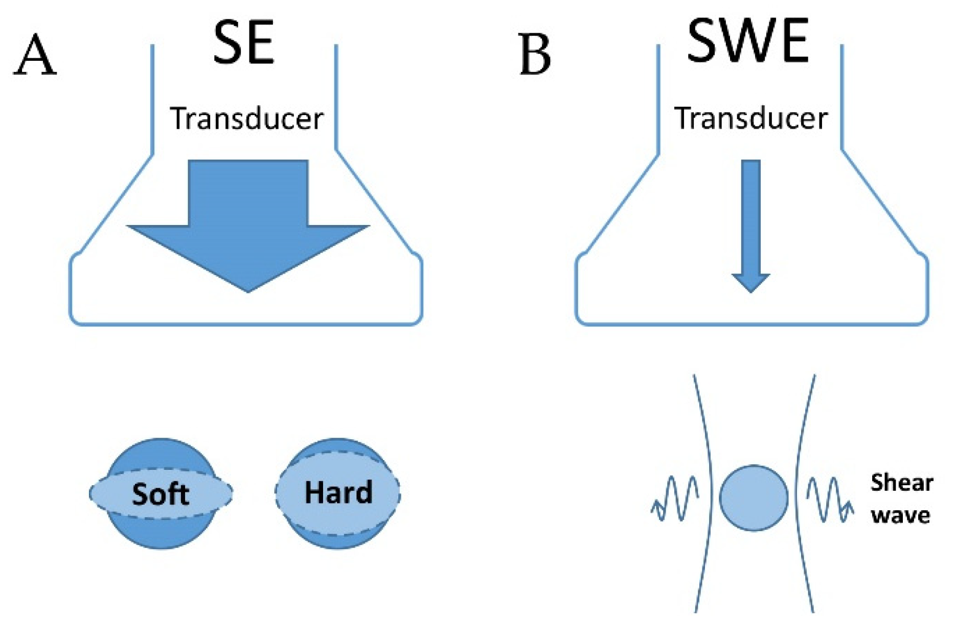 Cancers 13 04158 g002