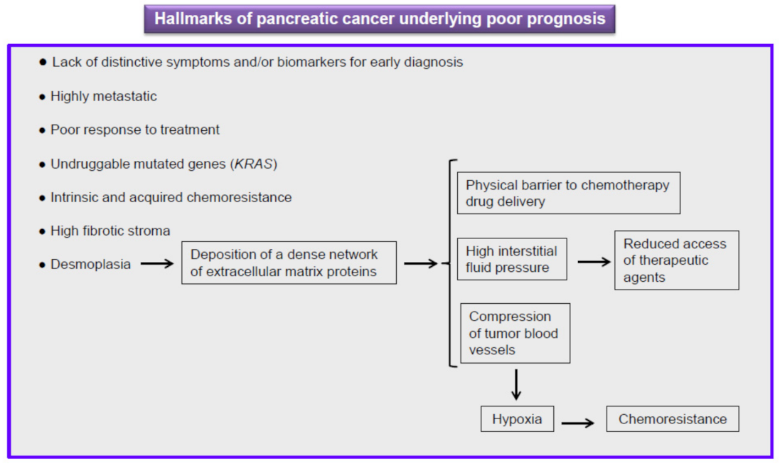 Cancers 13 04173 g003