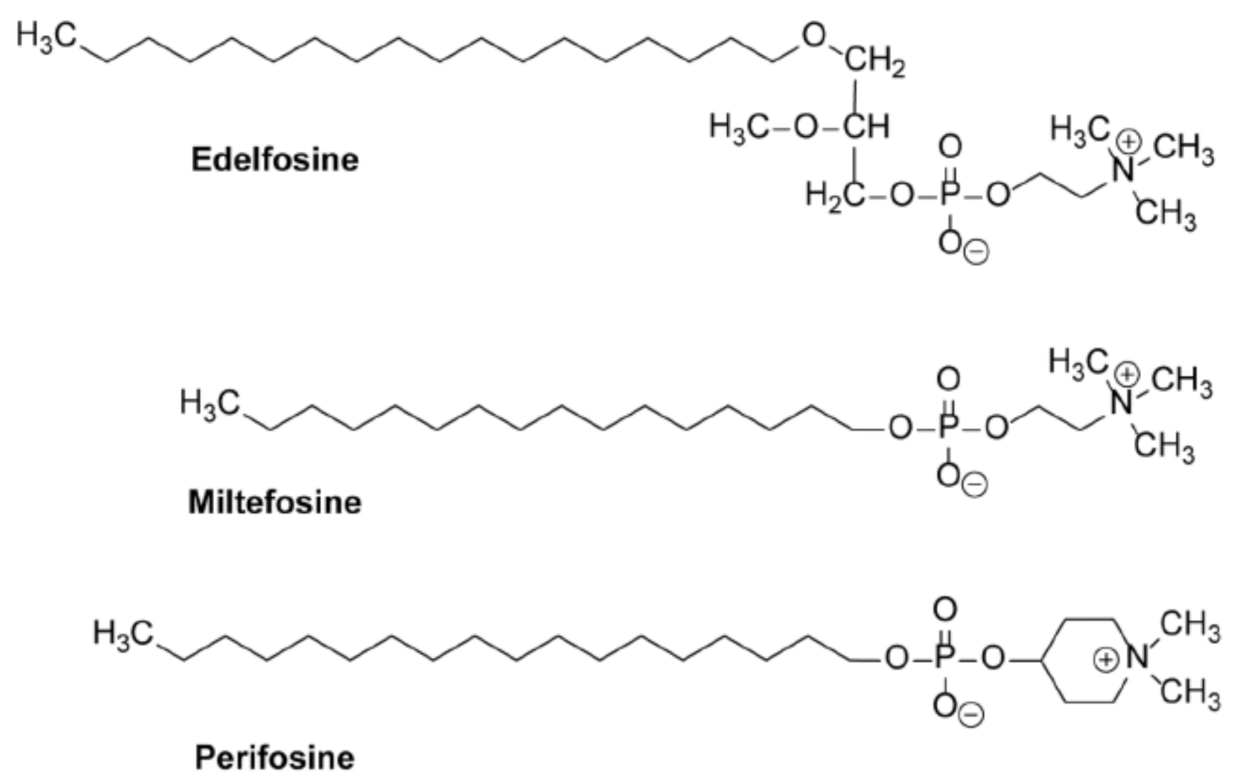 Cancers 13 04173 g005