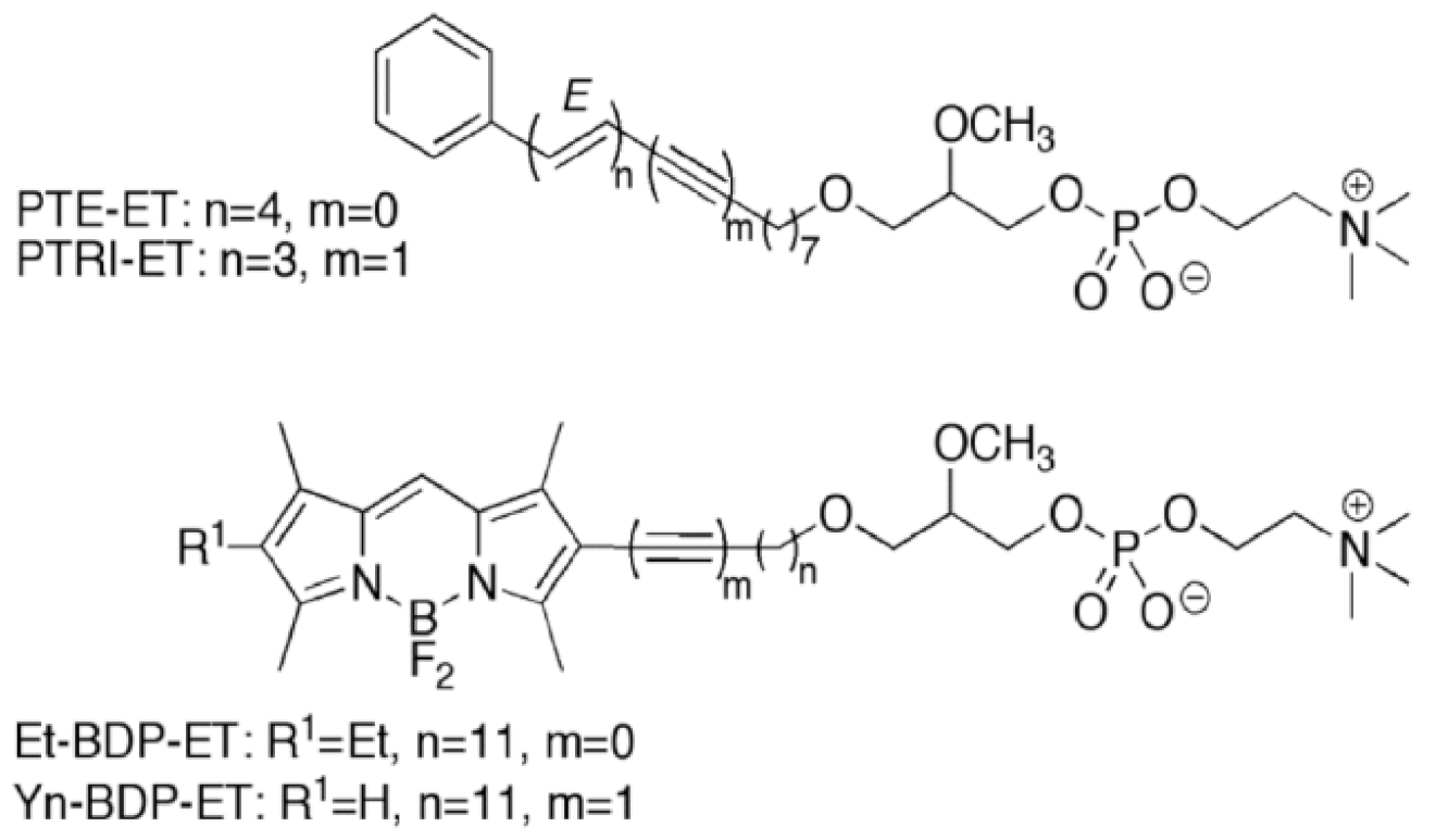 Cancers 13 04173 g006