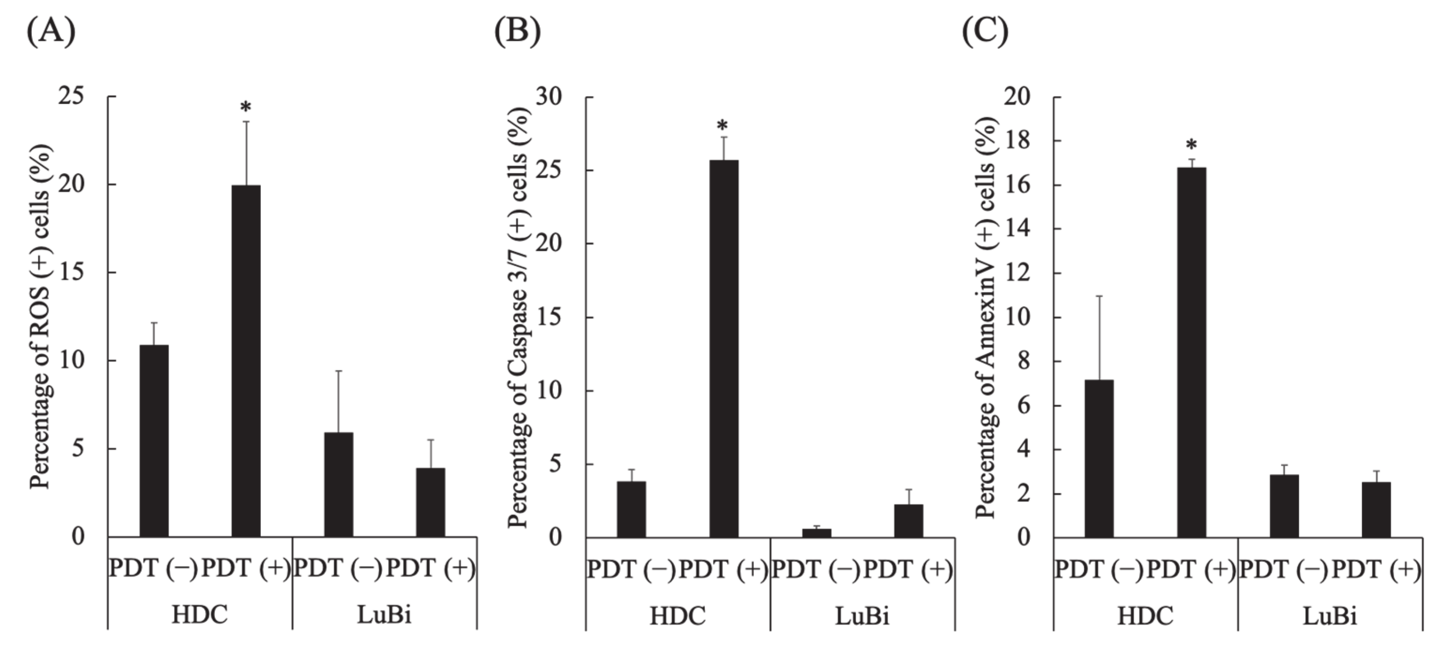 Cancers 13 04174 g004