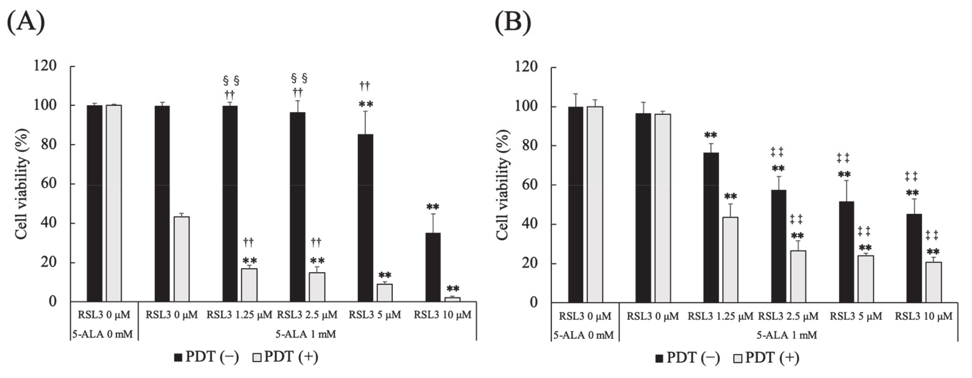 Cancers 13 04174 g006