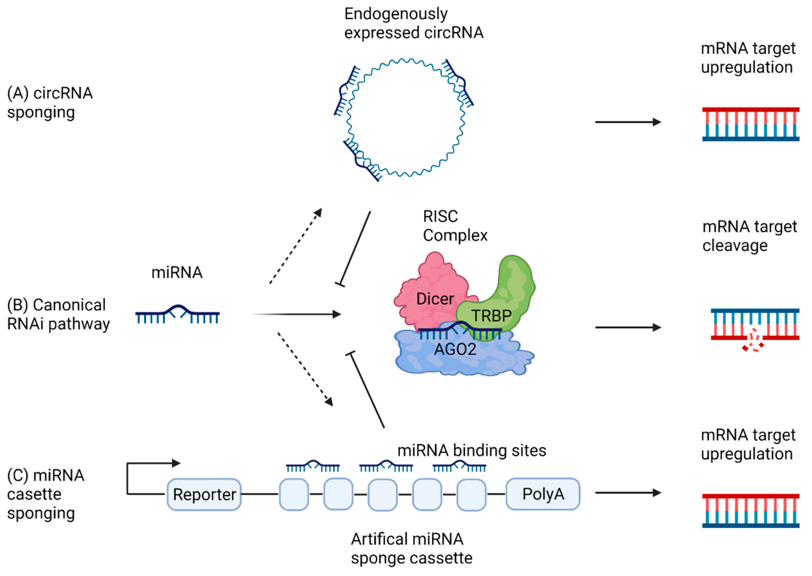 Cancers 13 04180 g002