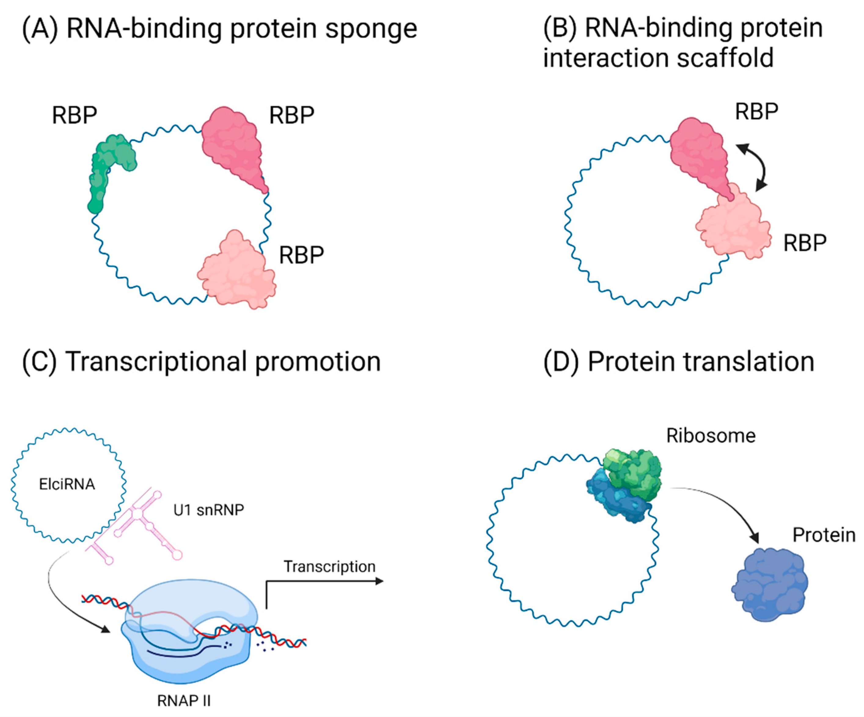 Cancers 13 04180 g003