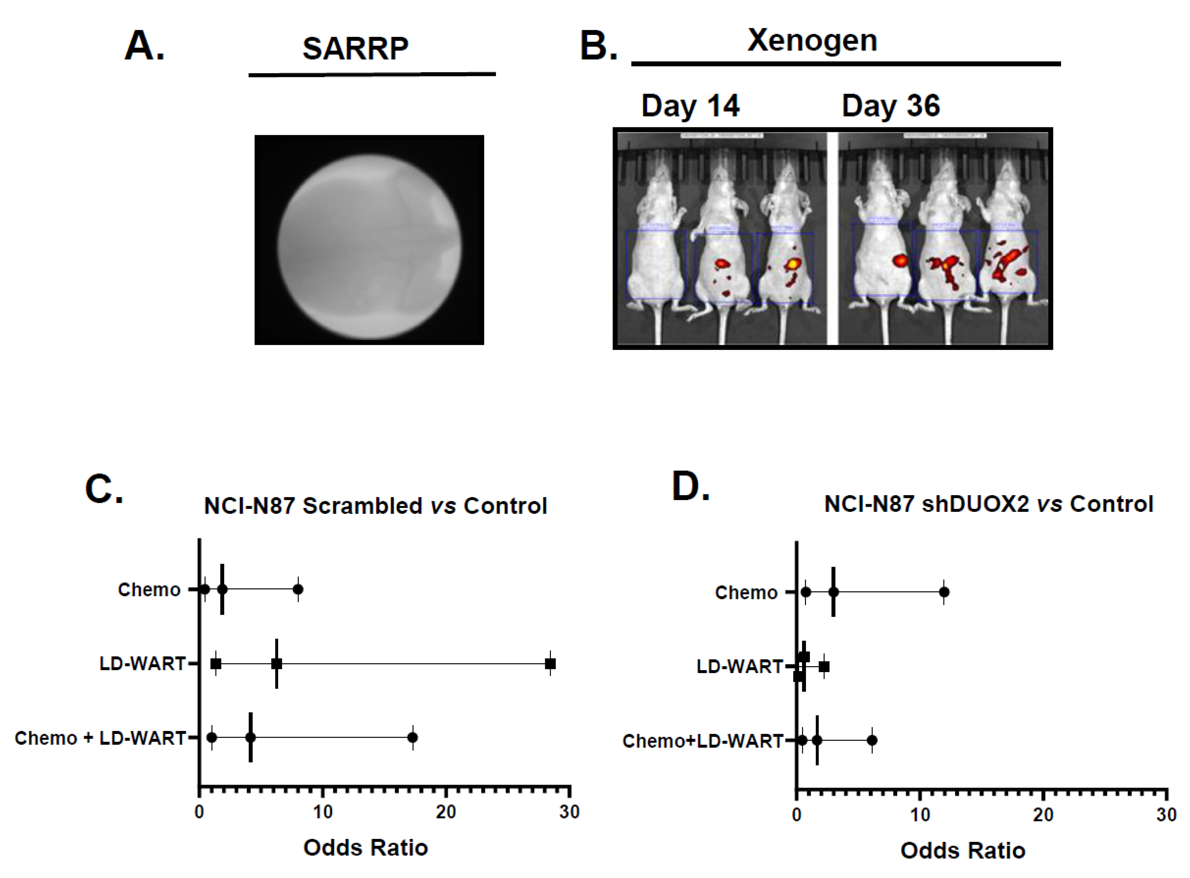 Cancers 13 04186 g002 Cancers 13 04186 g002
