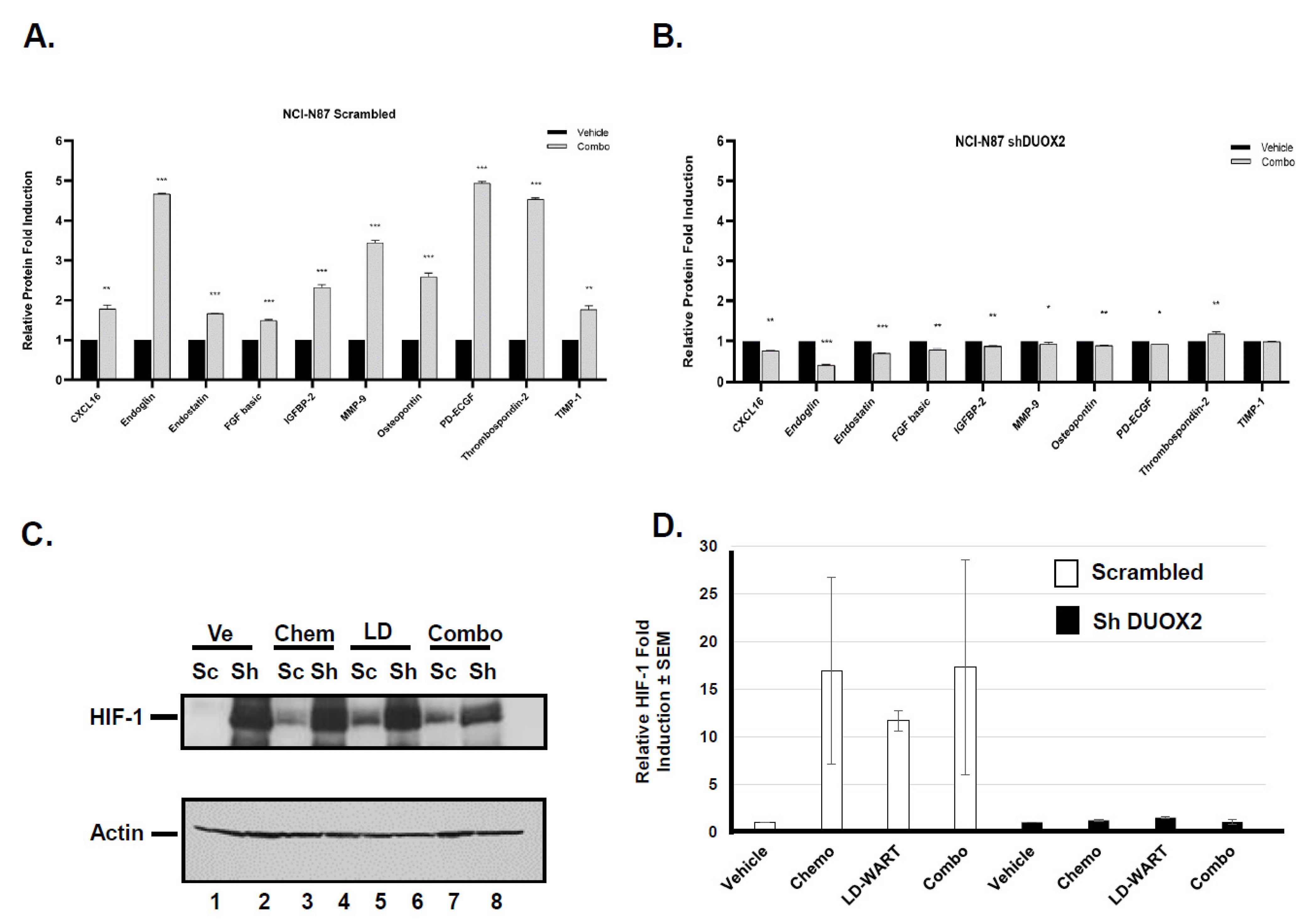 Cancers 13 04186 g004 Cancers 13 04186 g004