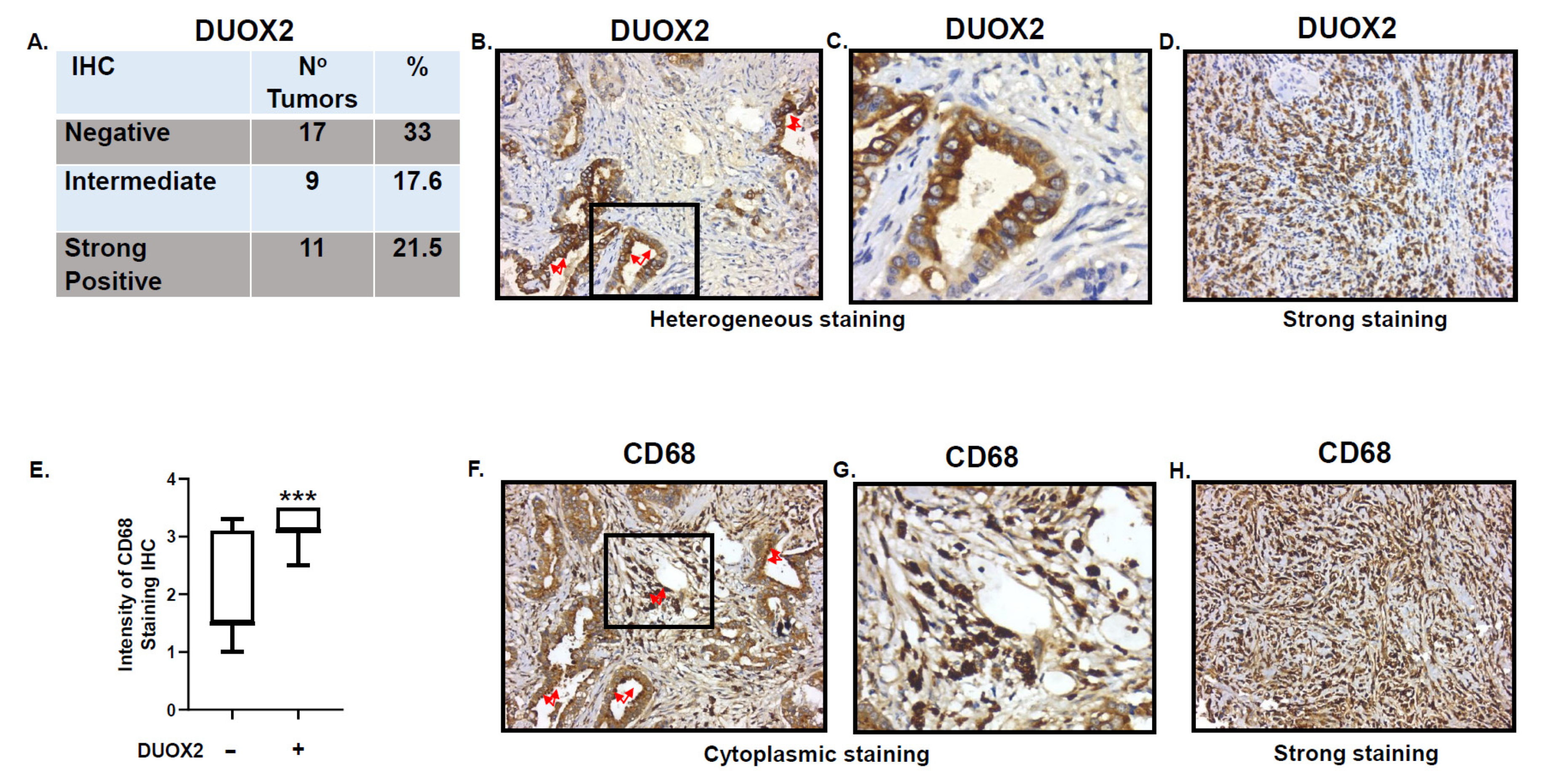 Cancers 13 04186 g006 Cancers 13 04186 g006