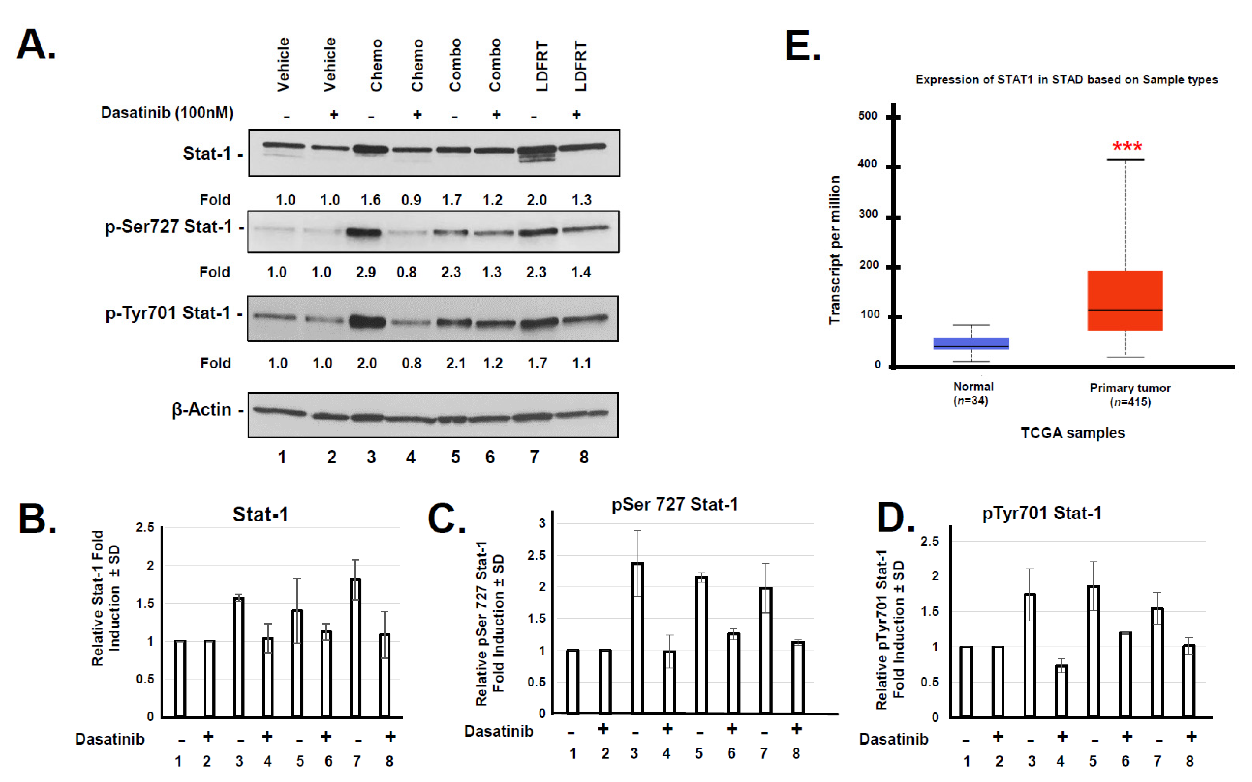 Cancers 13 04186 g008 Cancers 13 04186 g008