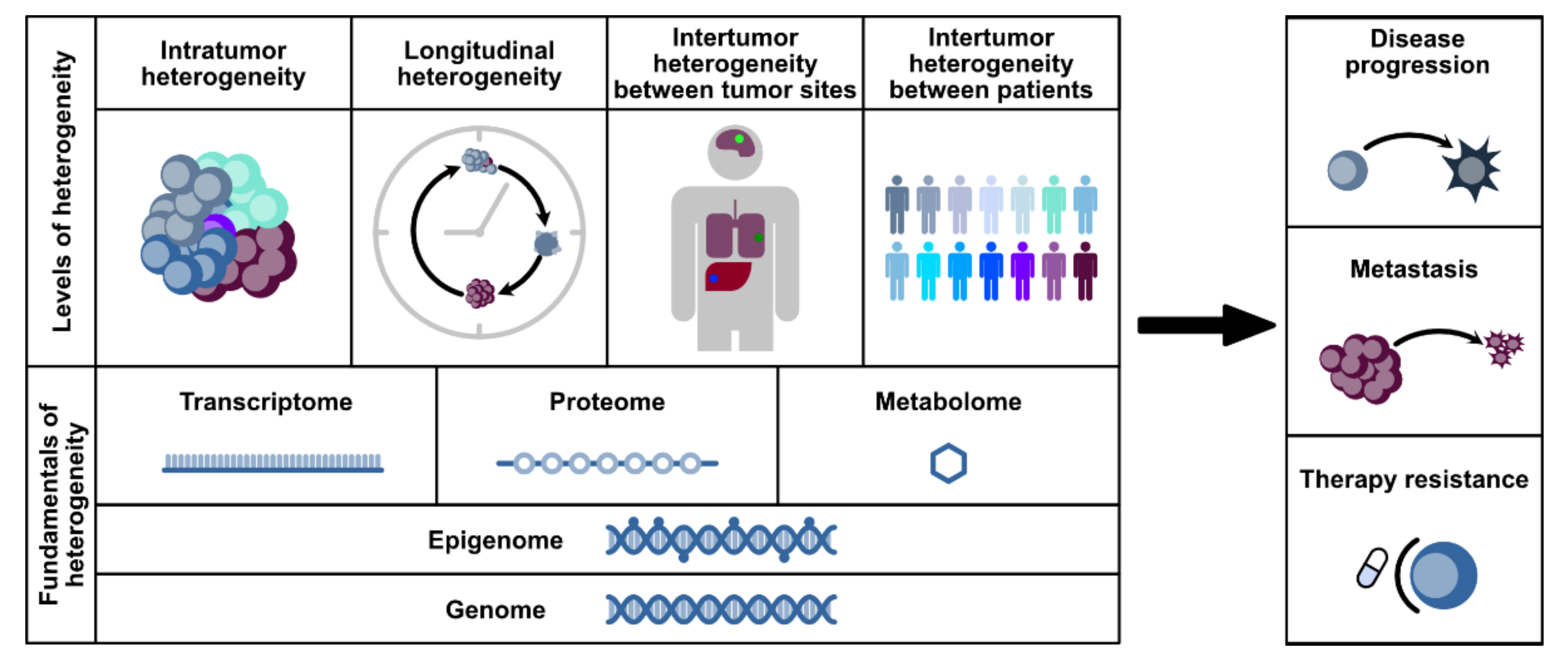 Cancers 13 04187 g001