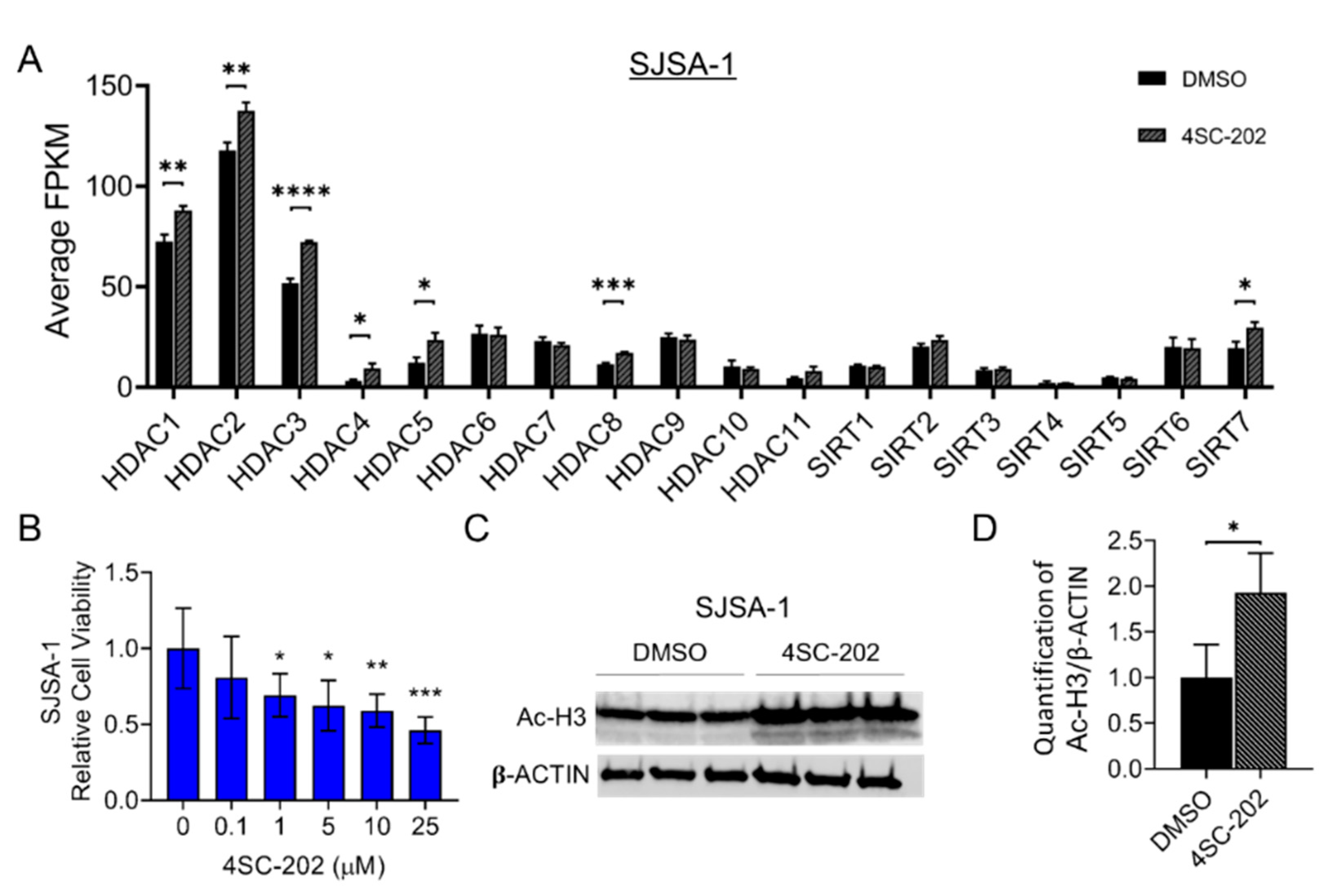 Cancers 13 04199 g001